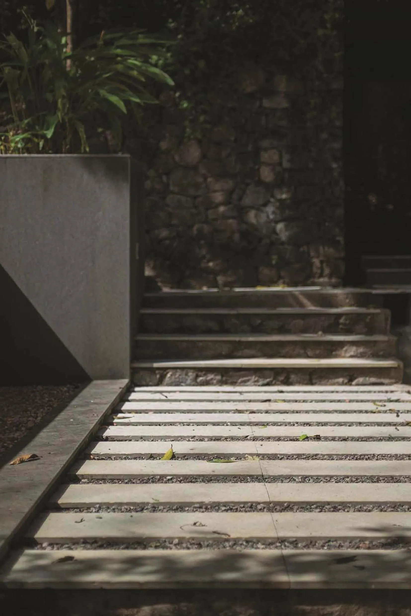 Day in Rainforest Resort