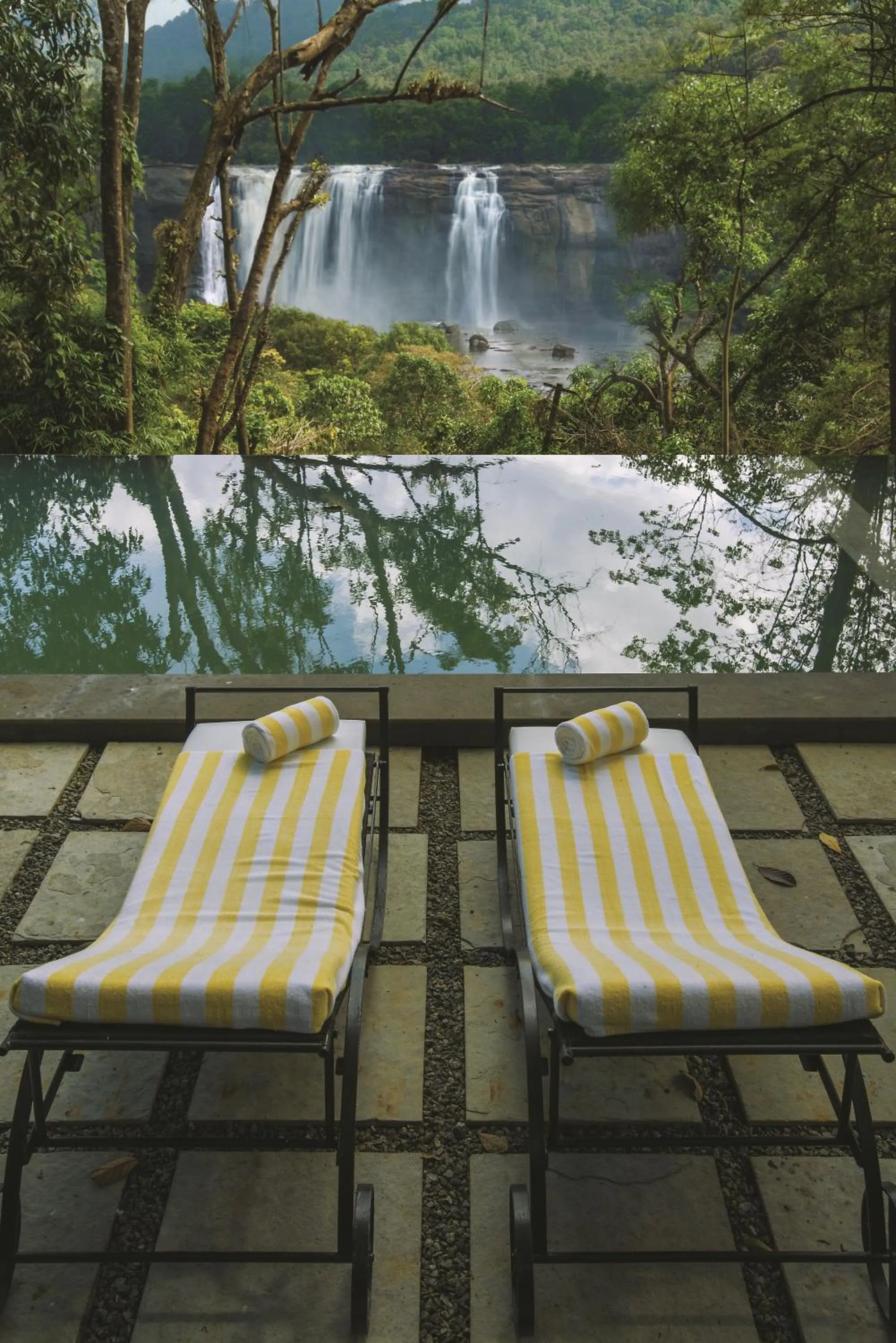 Landmark view in Rainforest Resort