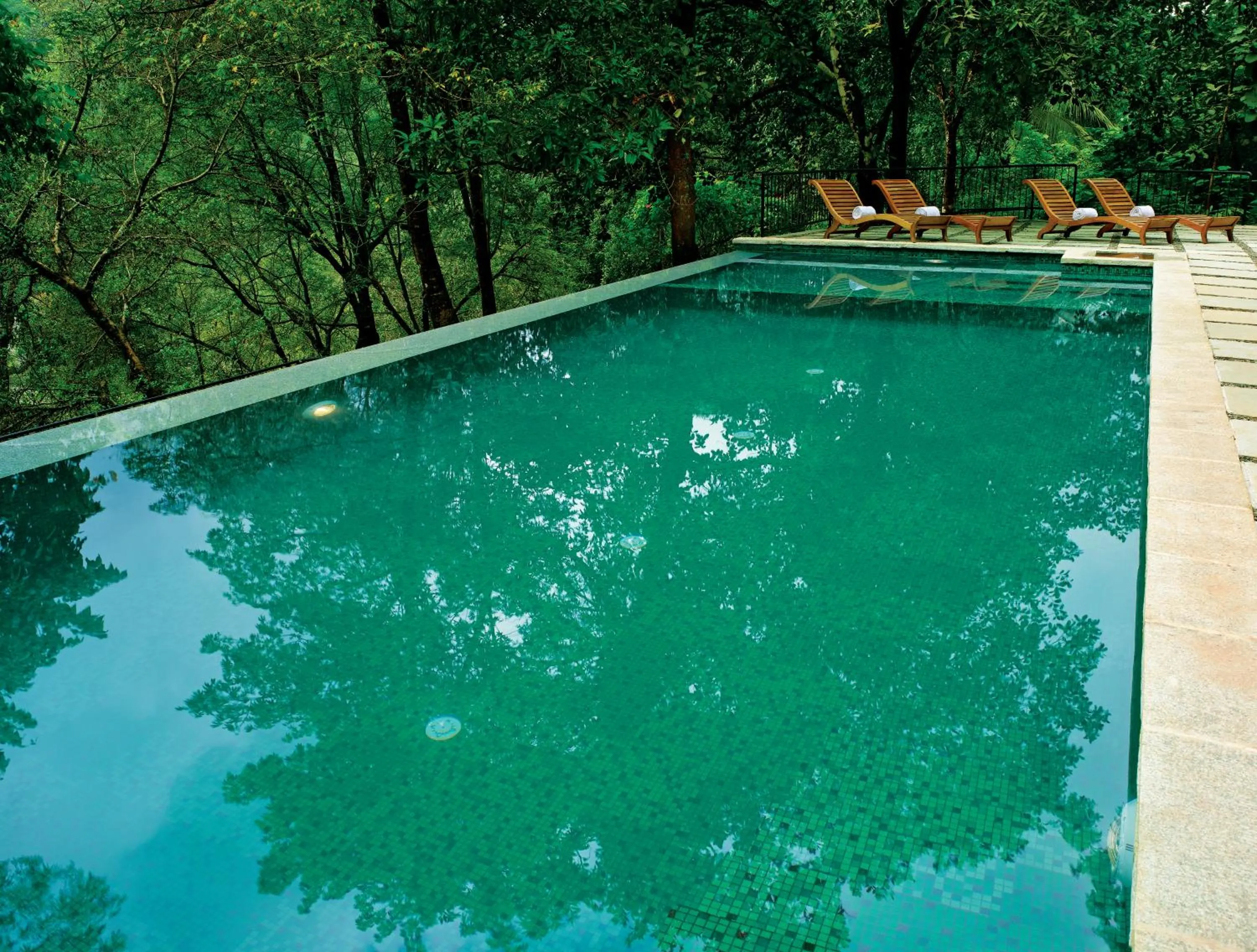 Swimming pool in Rainforest Resort