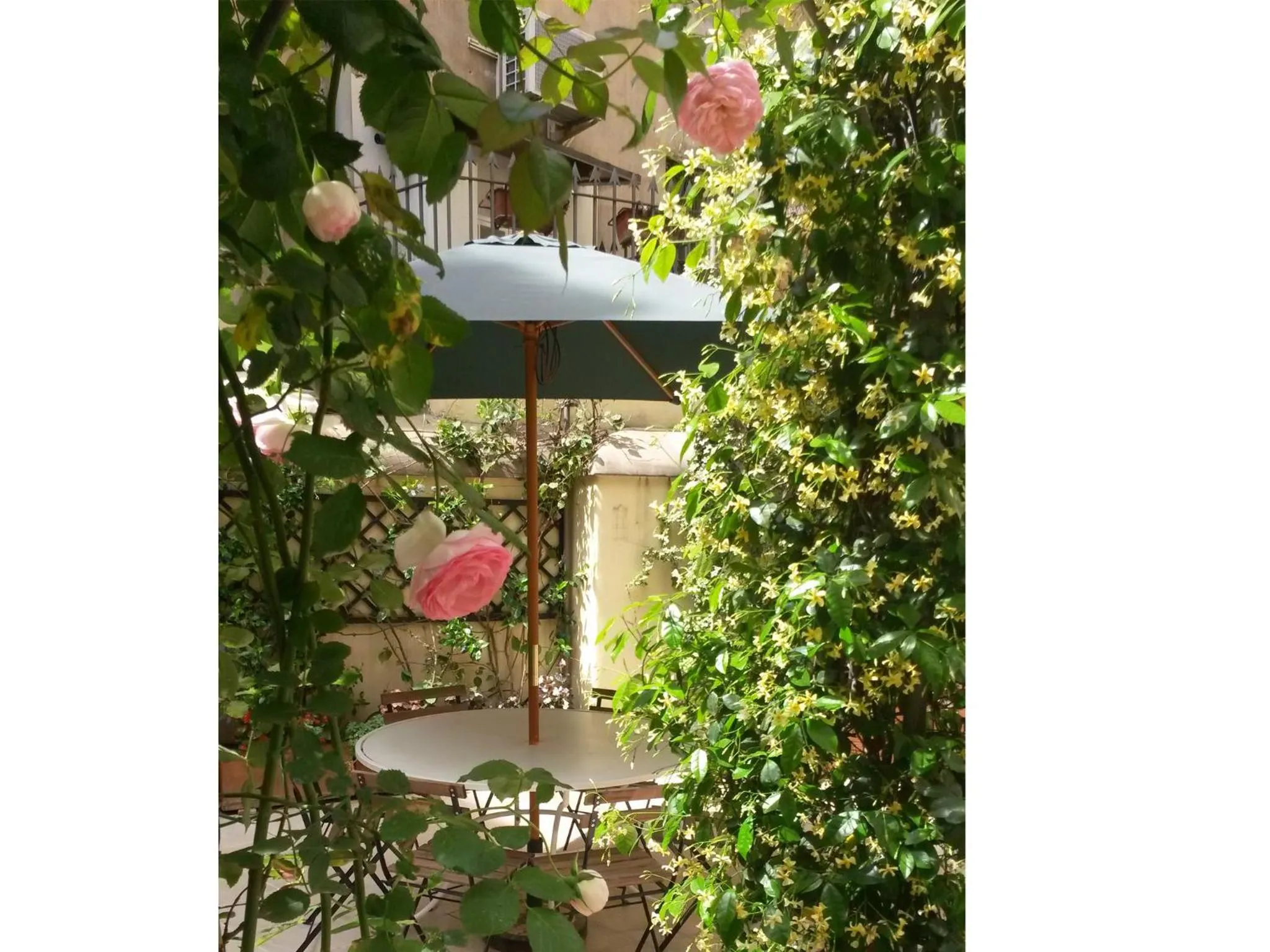 Property building in Viadelloca35