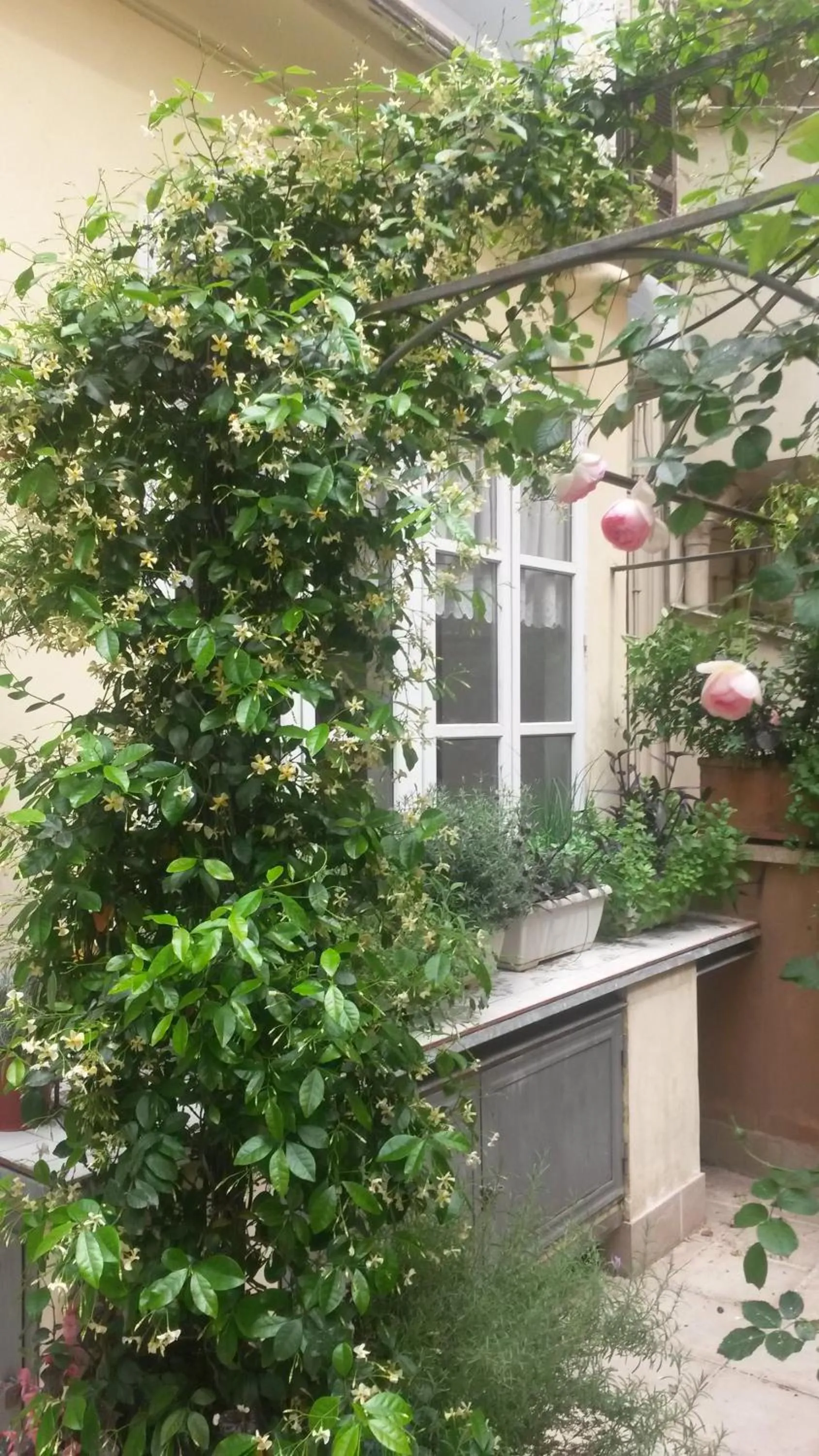 Balcony/Terrace in Viadelloca35