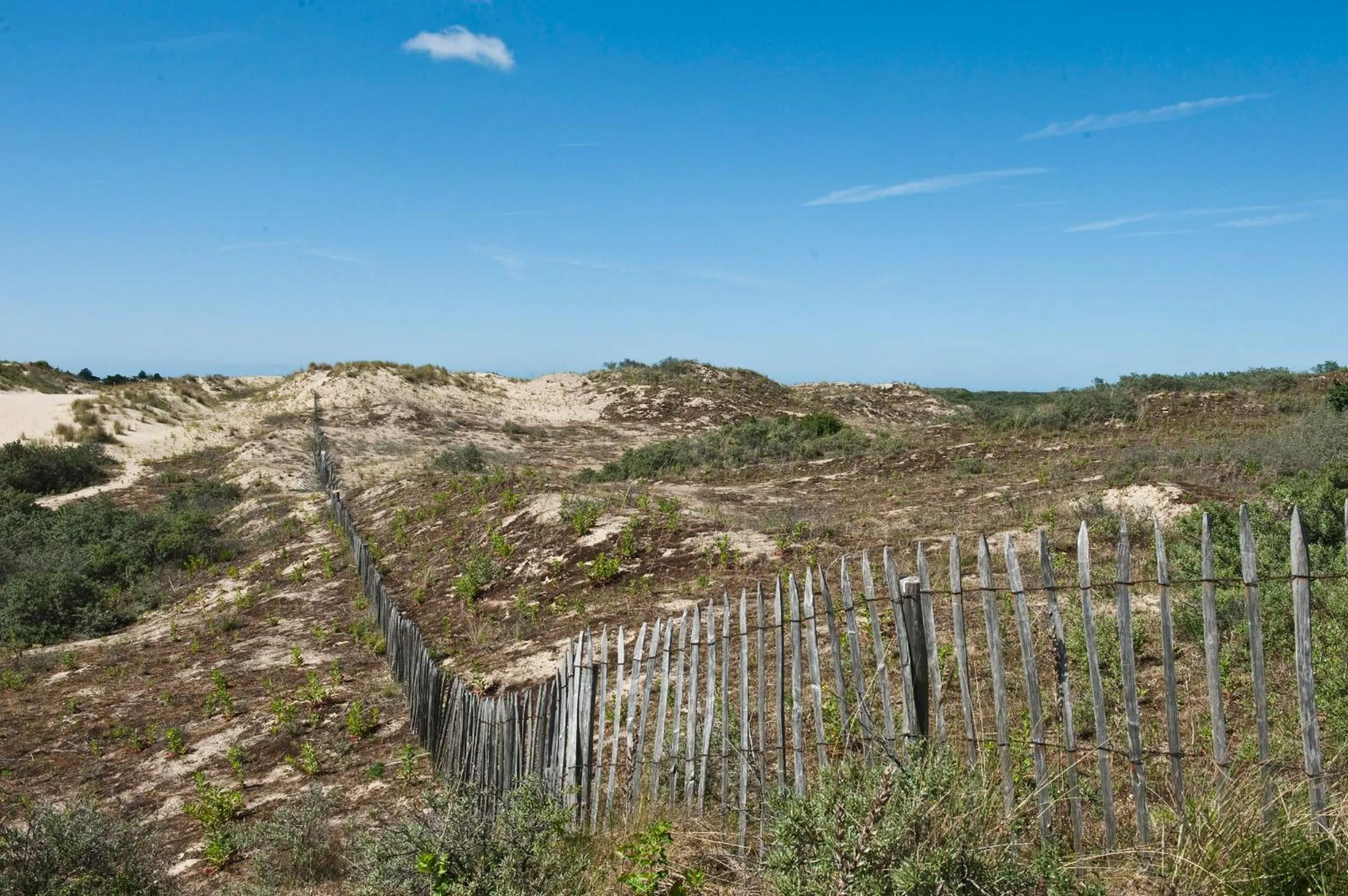 Natural landscape in Evancy Etoile Des Dunes