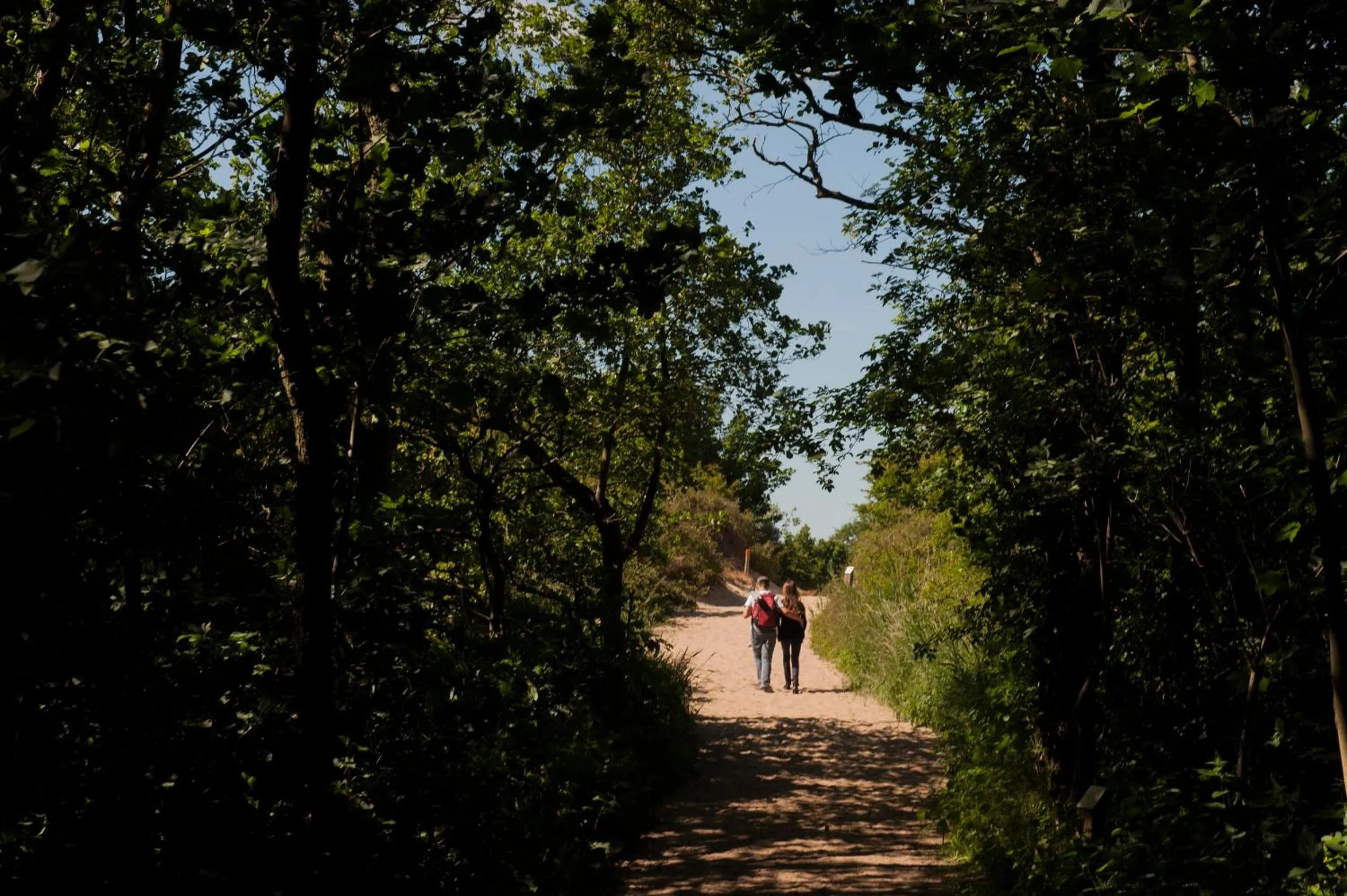 Natural landscape in Evancy Etoile Des Dunes