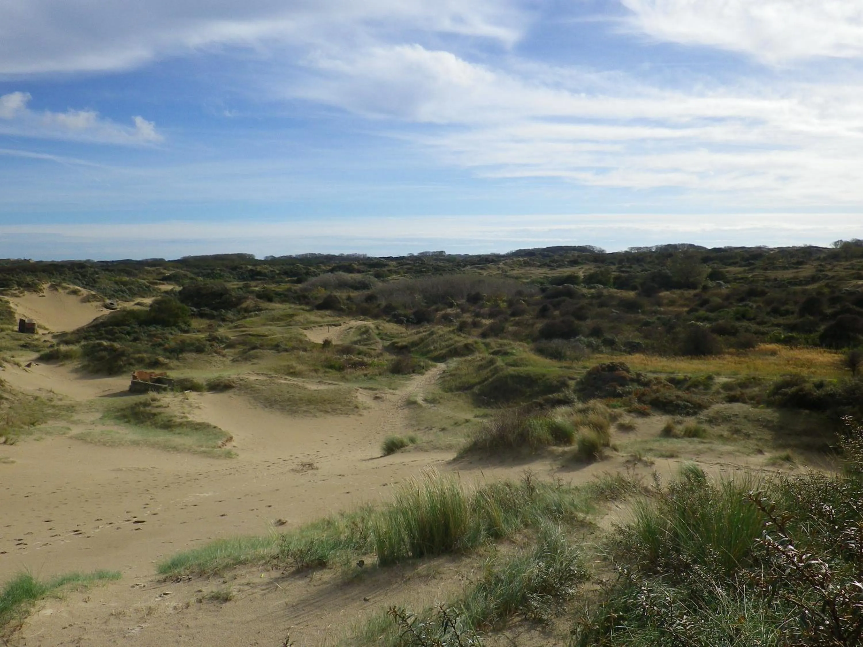 Natural landscape in Evancy Etoile Des Dunes