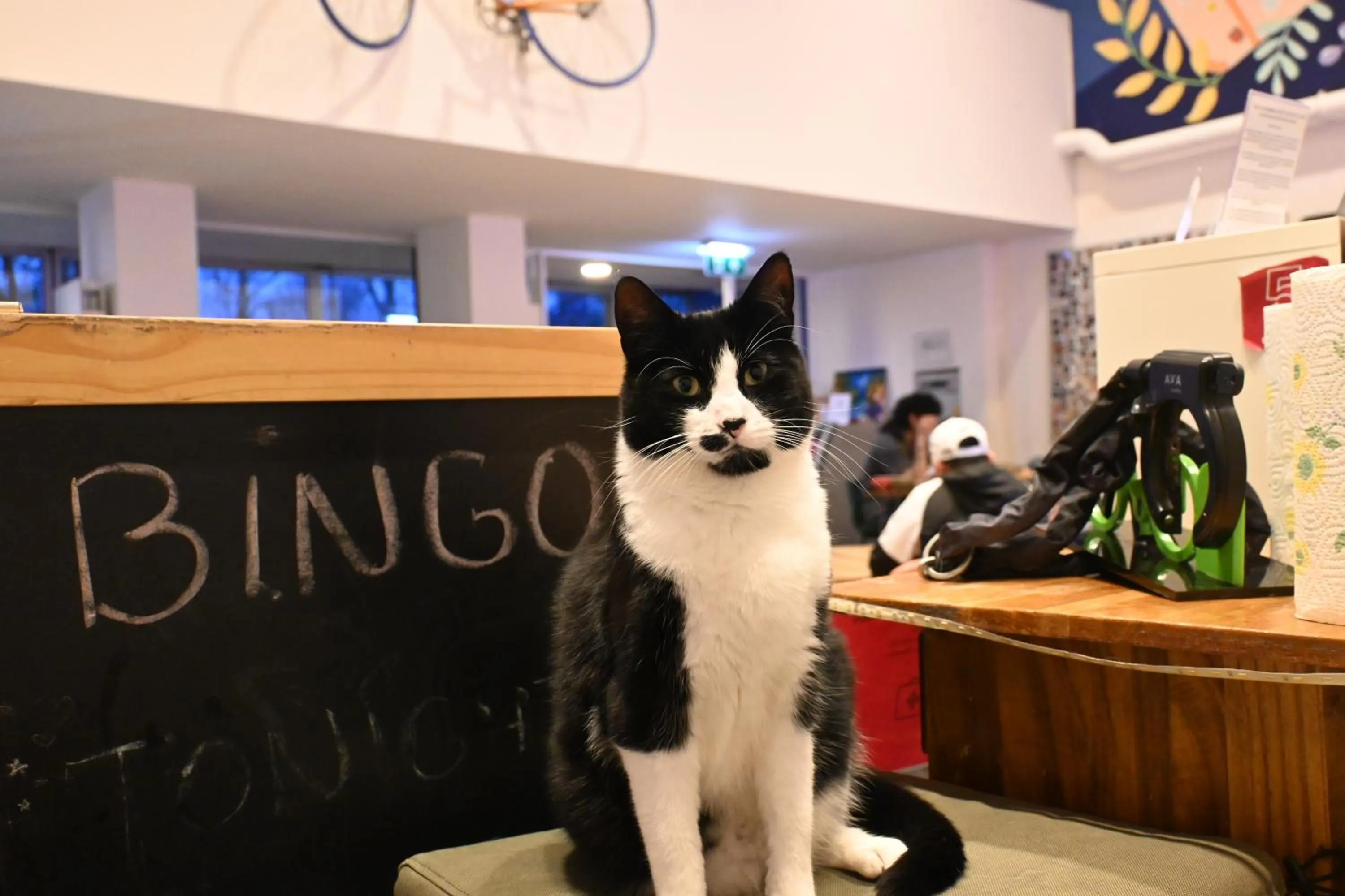 Inner courtyard view in Dutchies Hostel