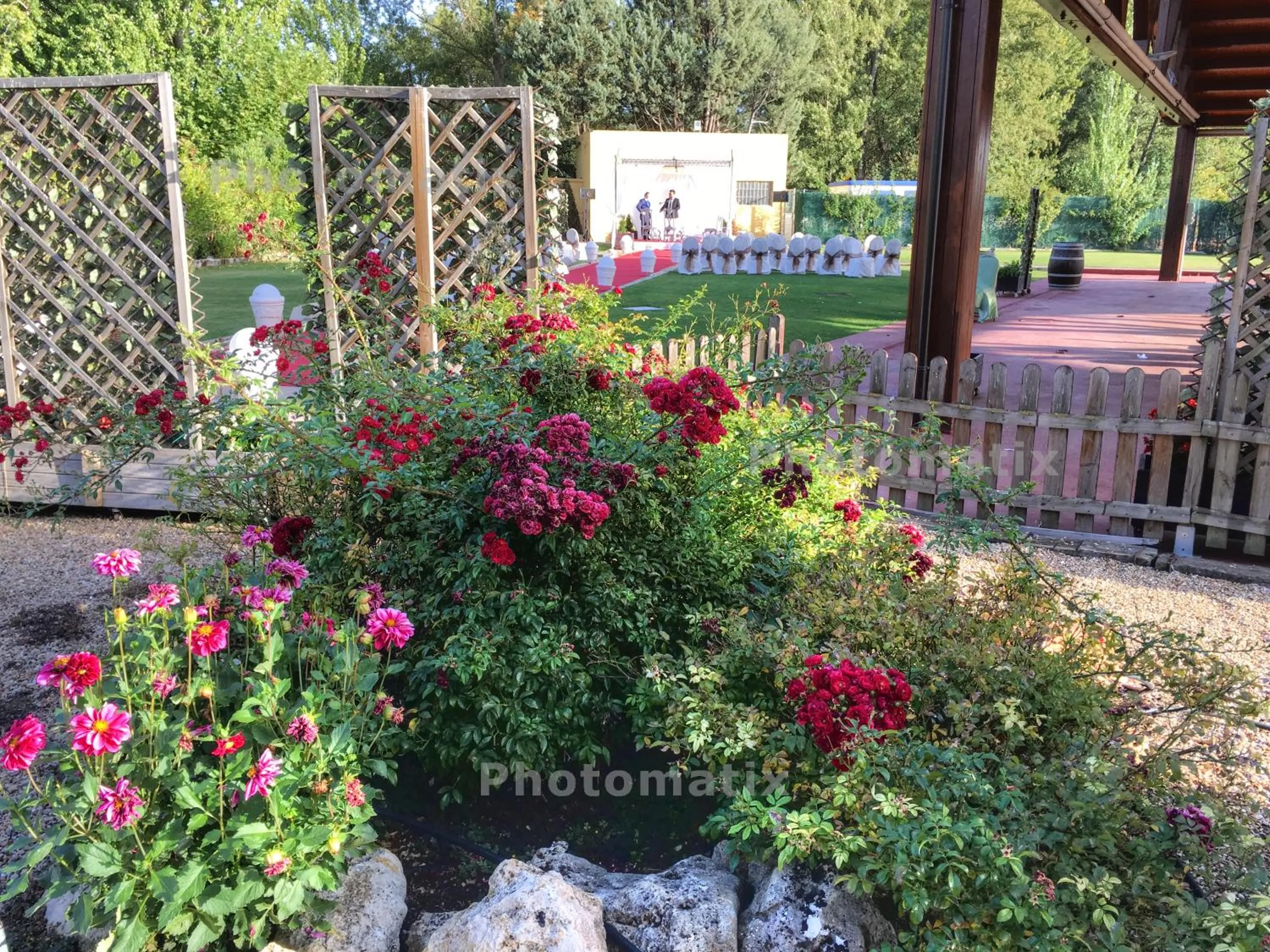 Restaurant/places to eat in Rey Sancho Palencia