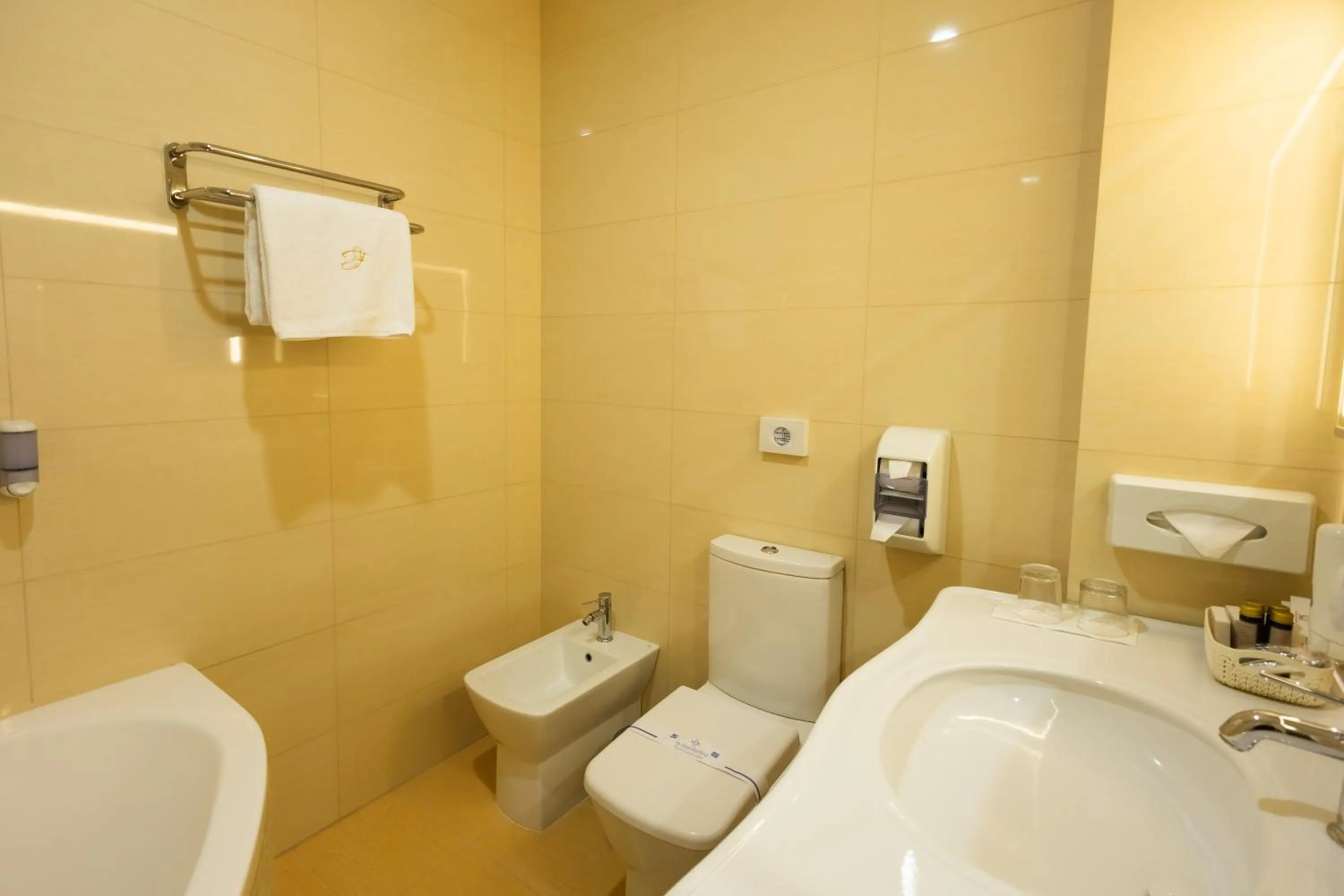 Toilet in Hotel France