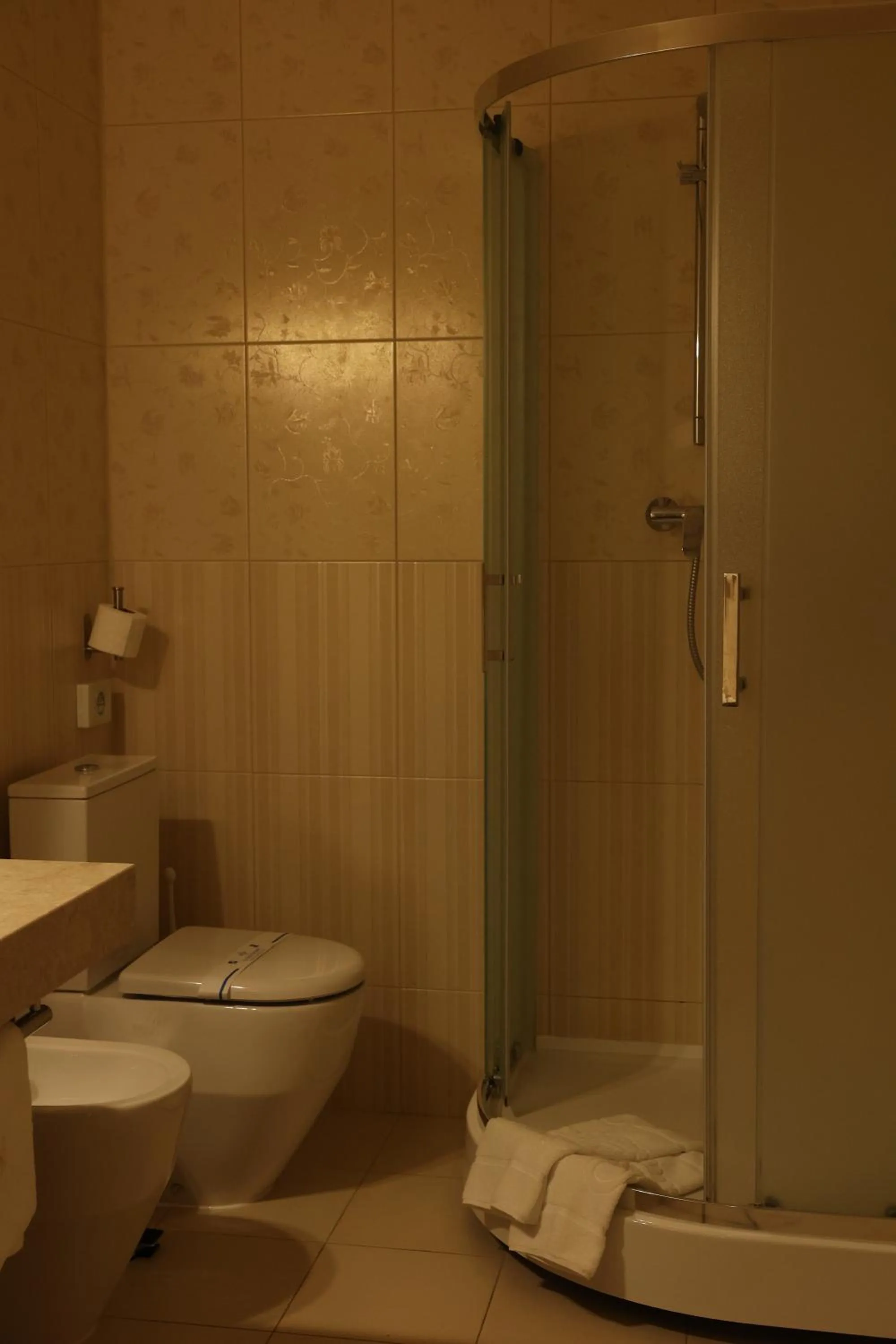 Shower in Hotel France