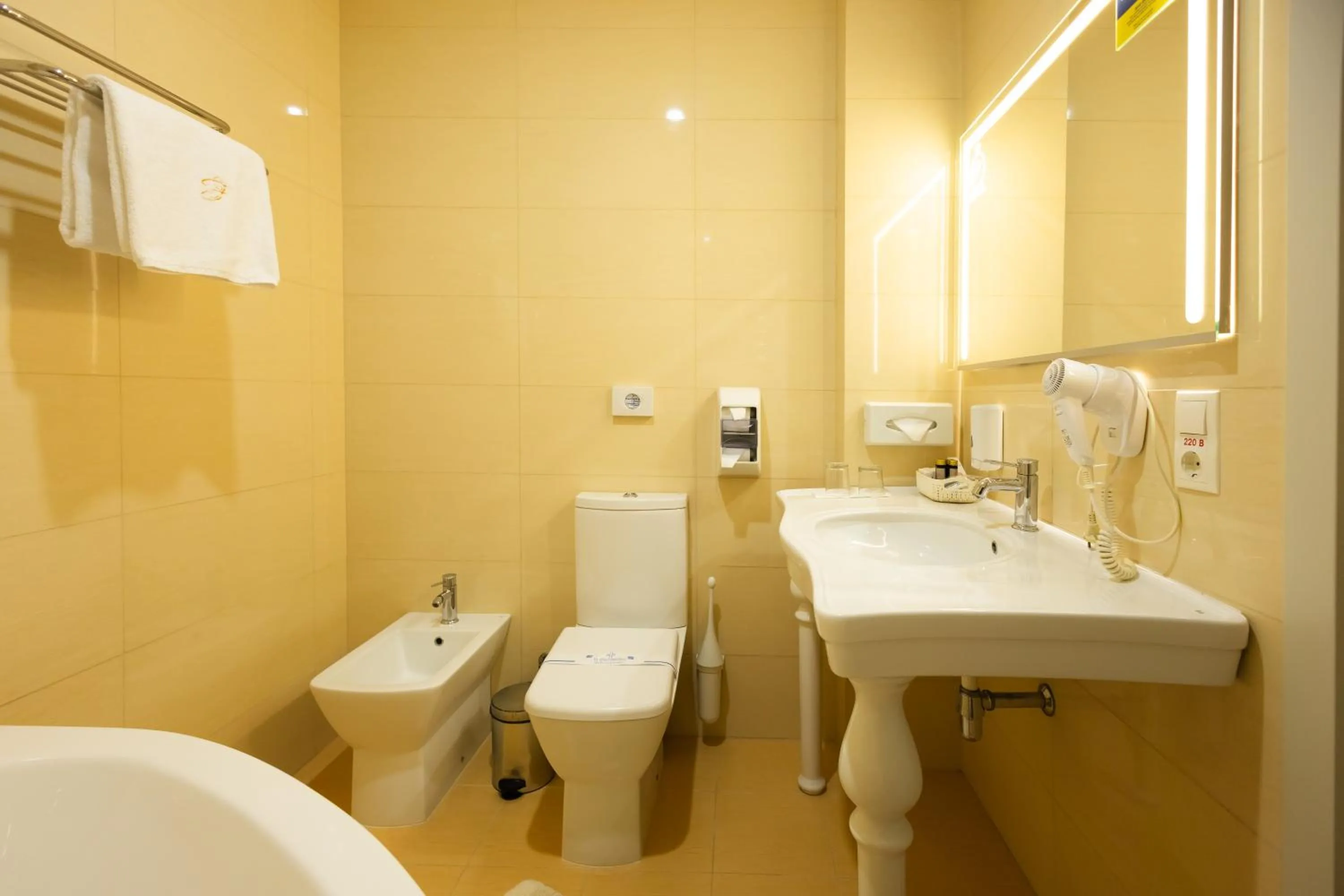 Toilet in Hotel France