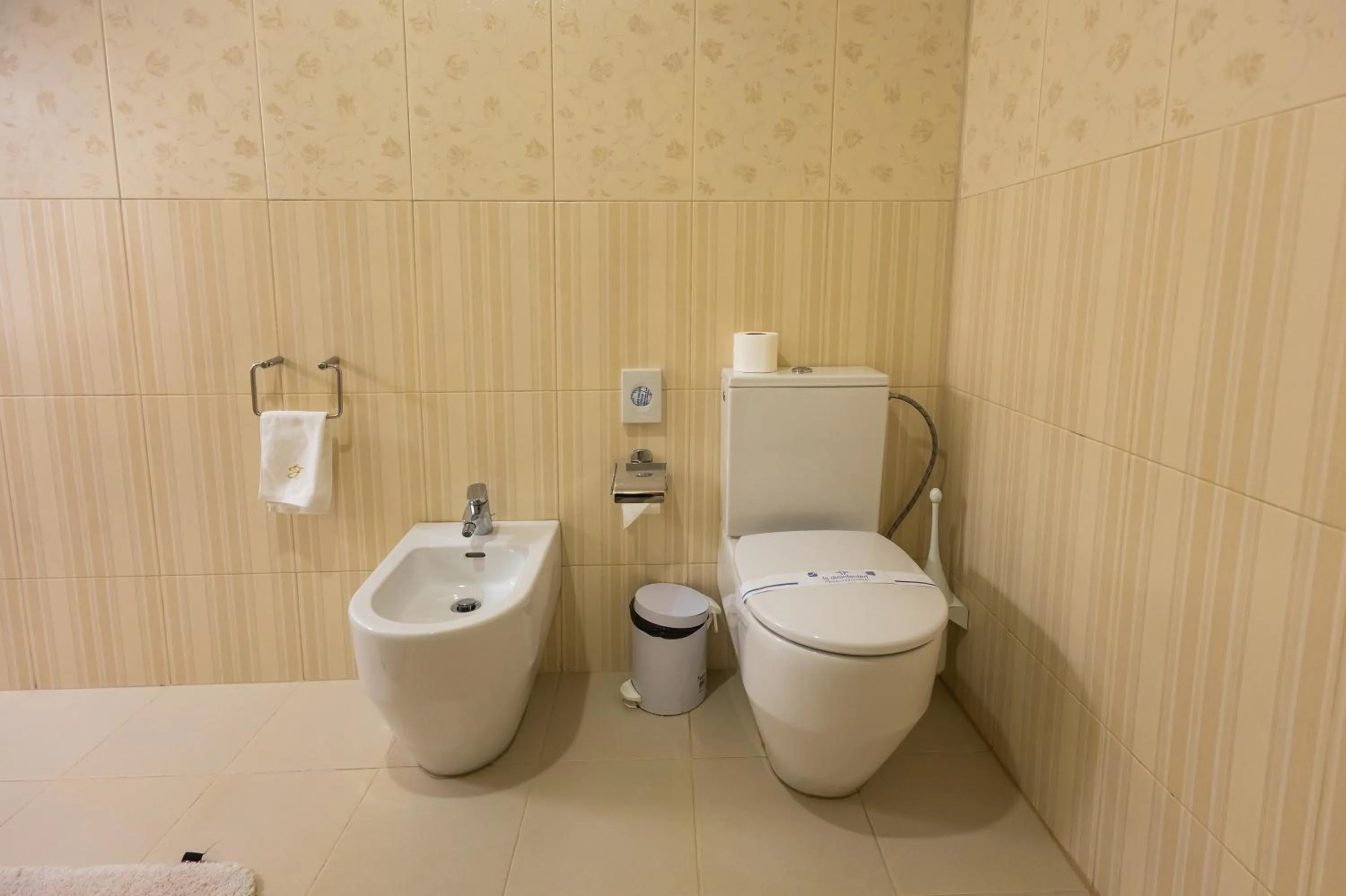 Toilet in Hotel France