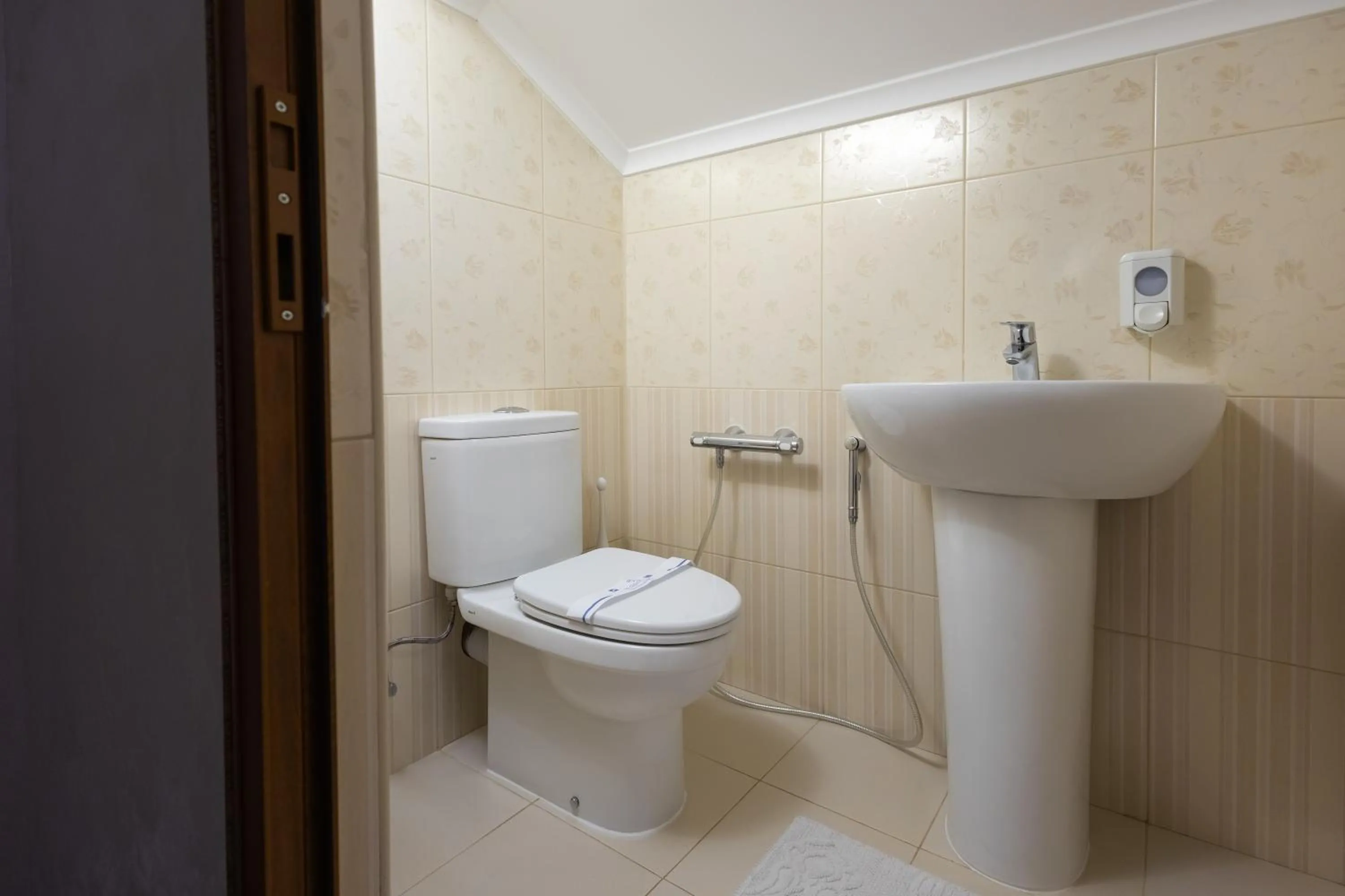 Shower in Hotel France