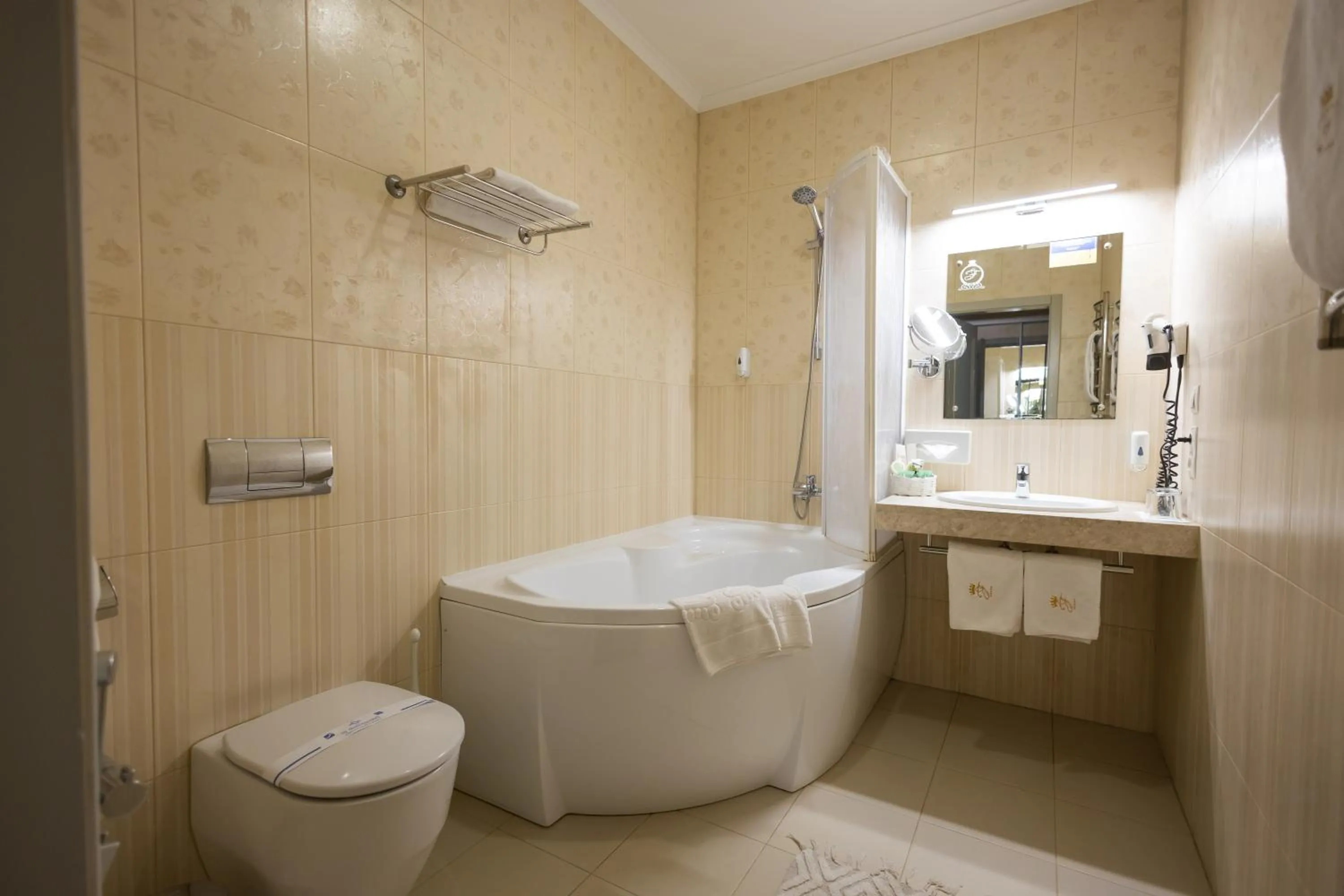 Toilet in Hotel France