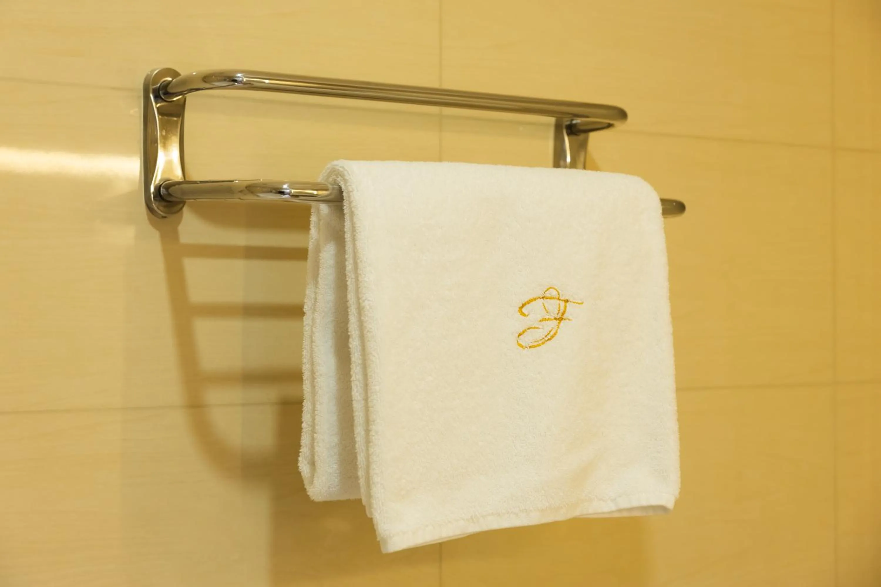 towels in Hotel France