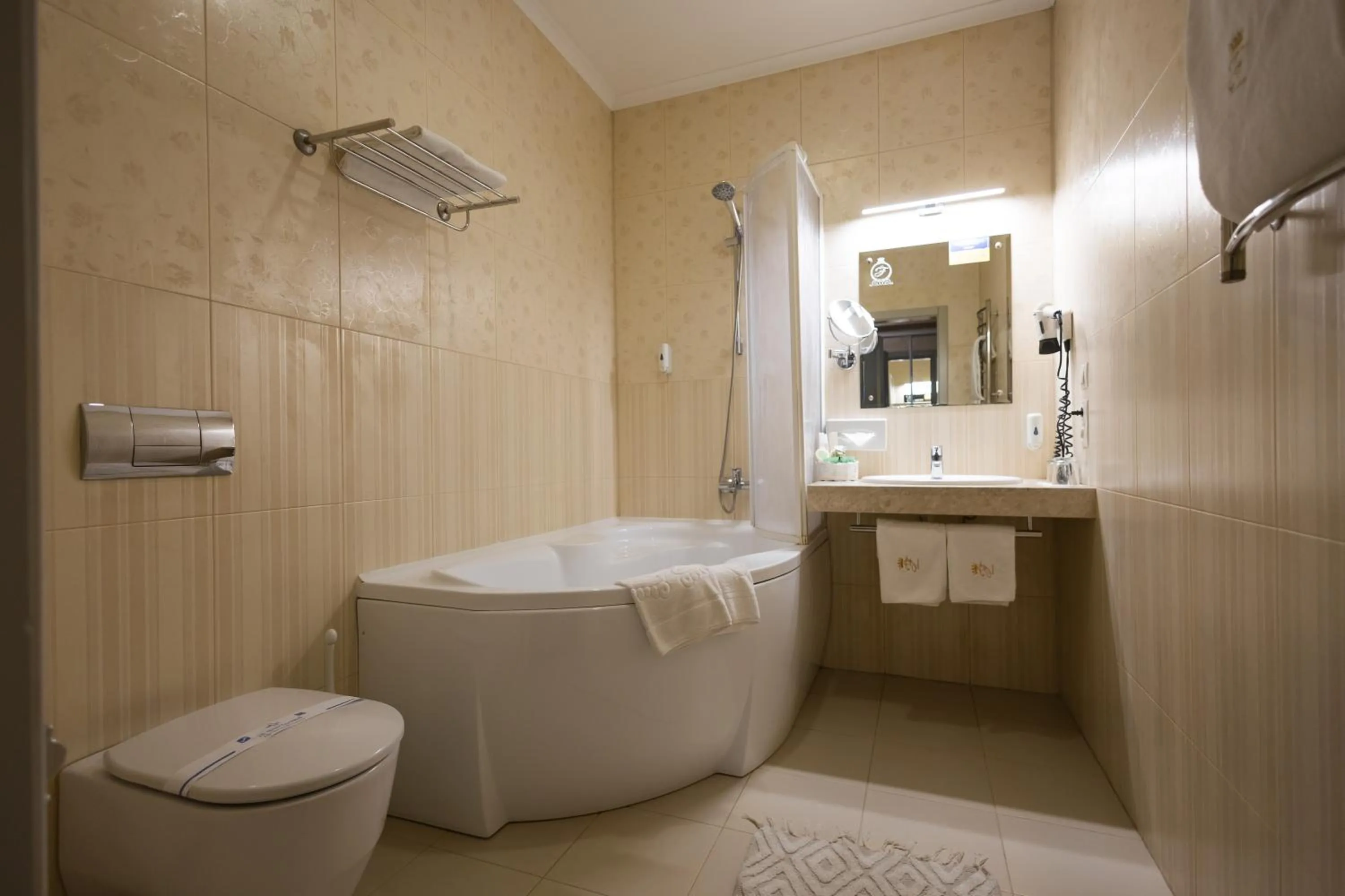 Toilet in Hotel France