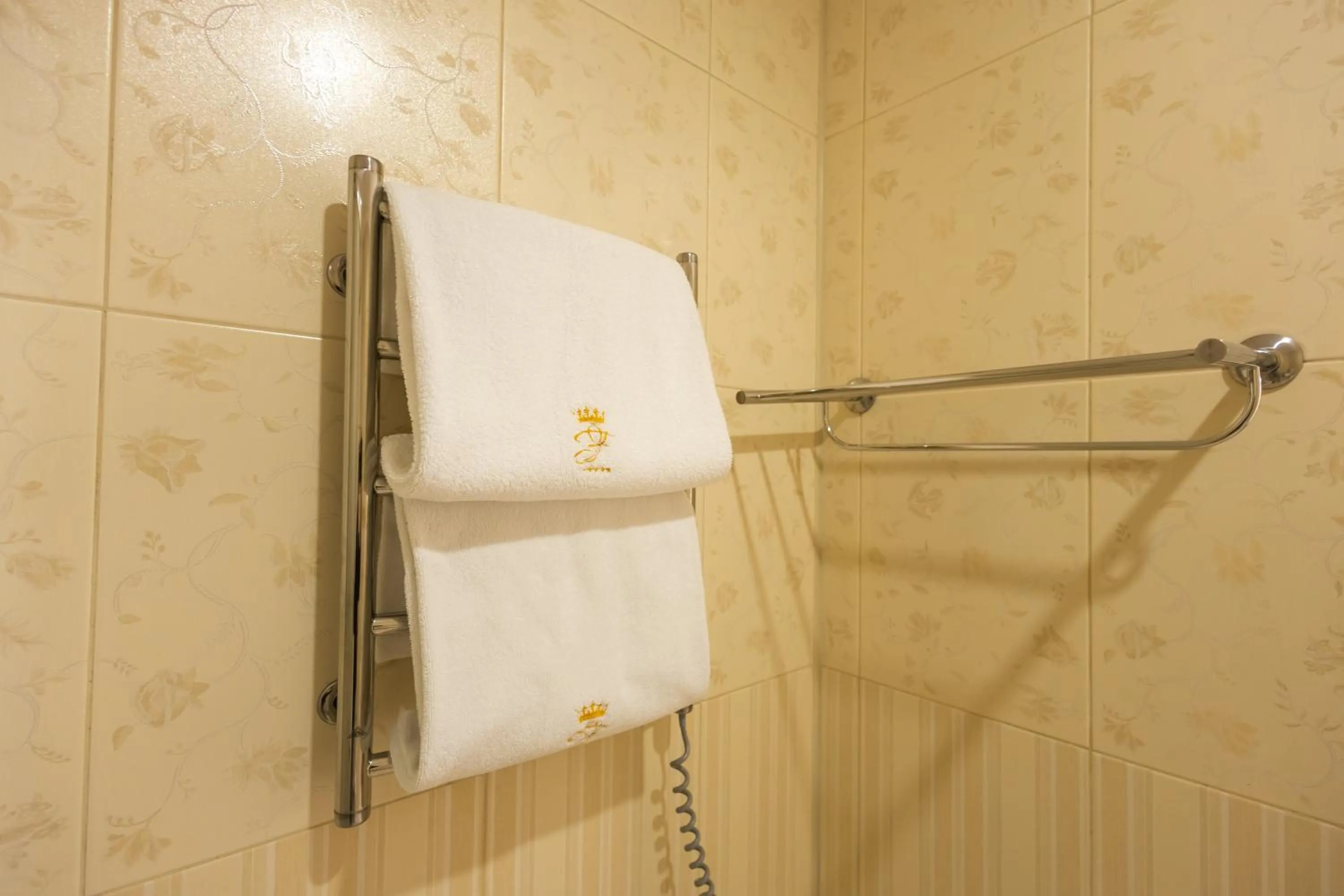 towels in Hotel France