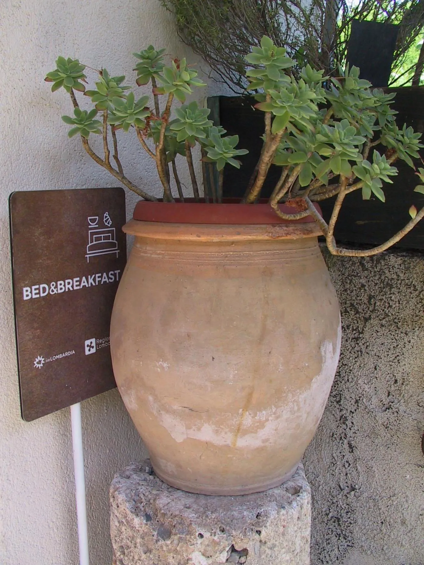 Other in B&B Il Rustico