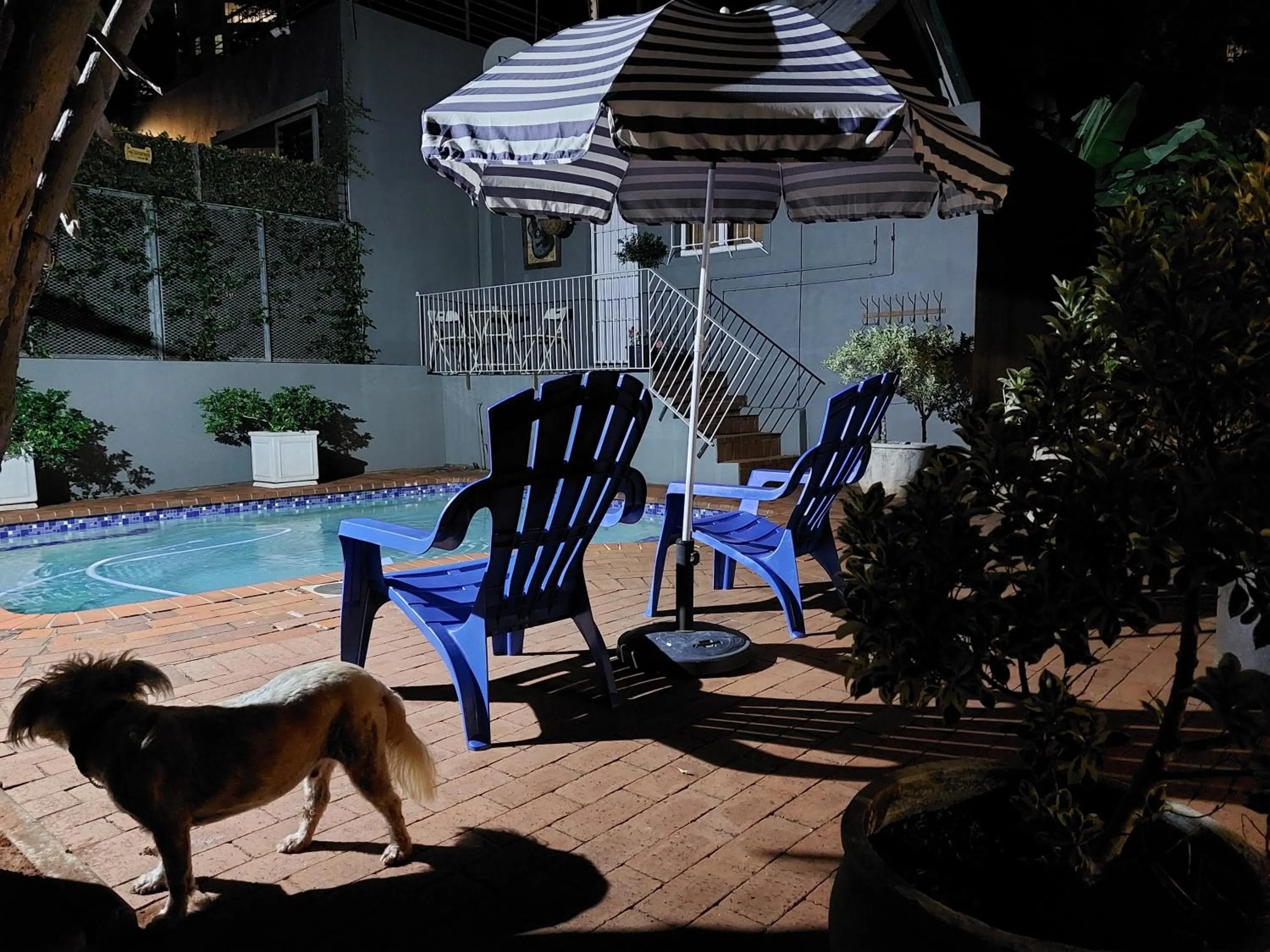 Swimming pool in Tamarisk Bed & Breakfast