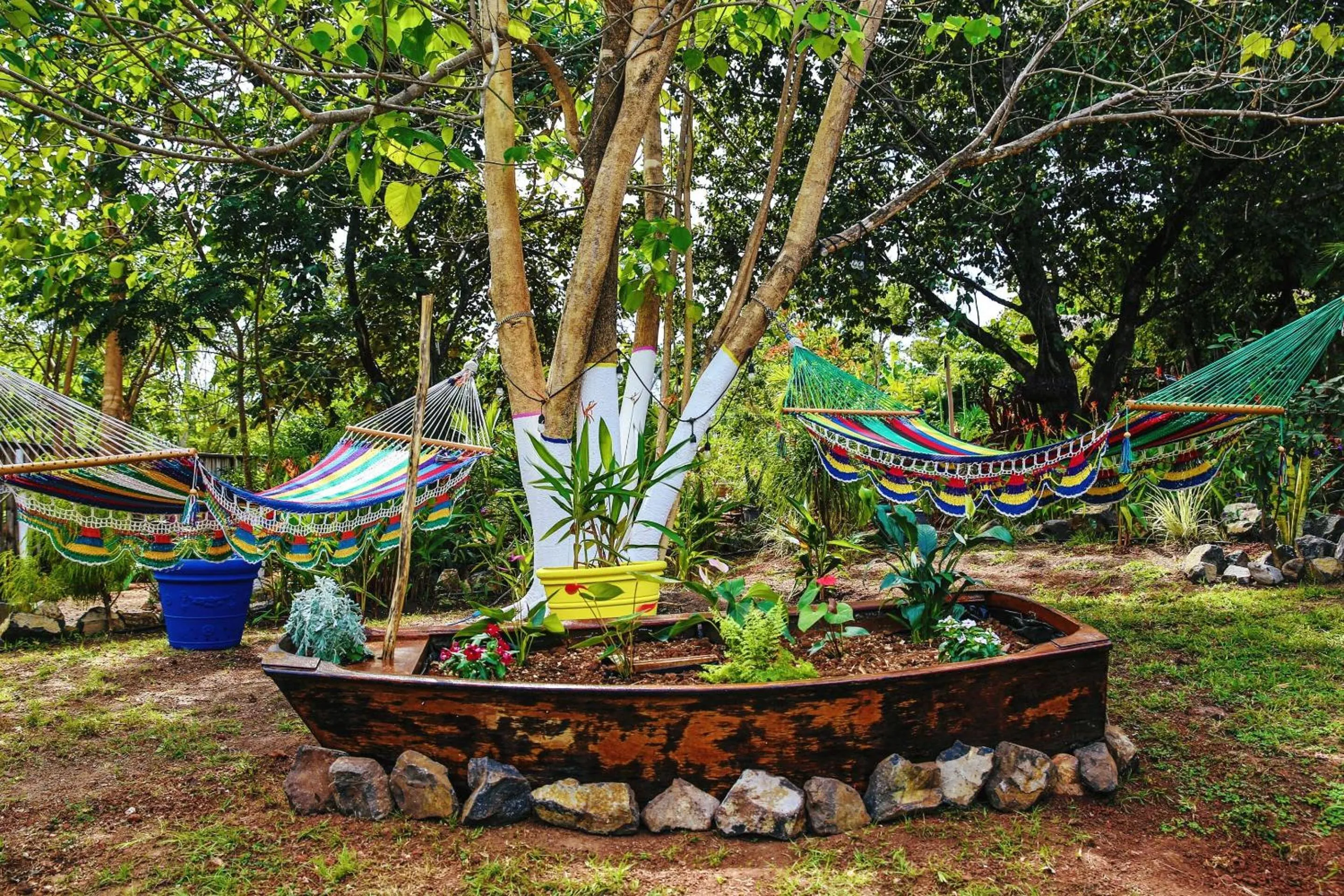 Activities in Flor y Bambu