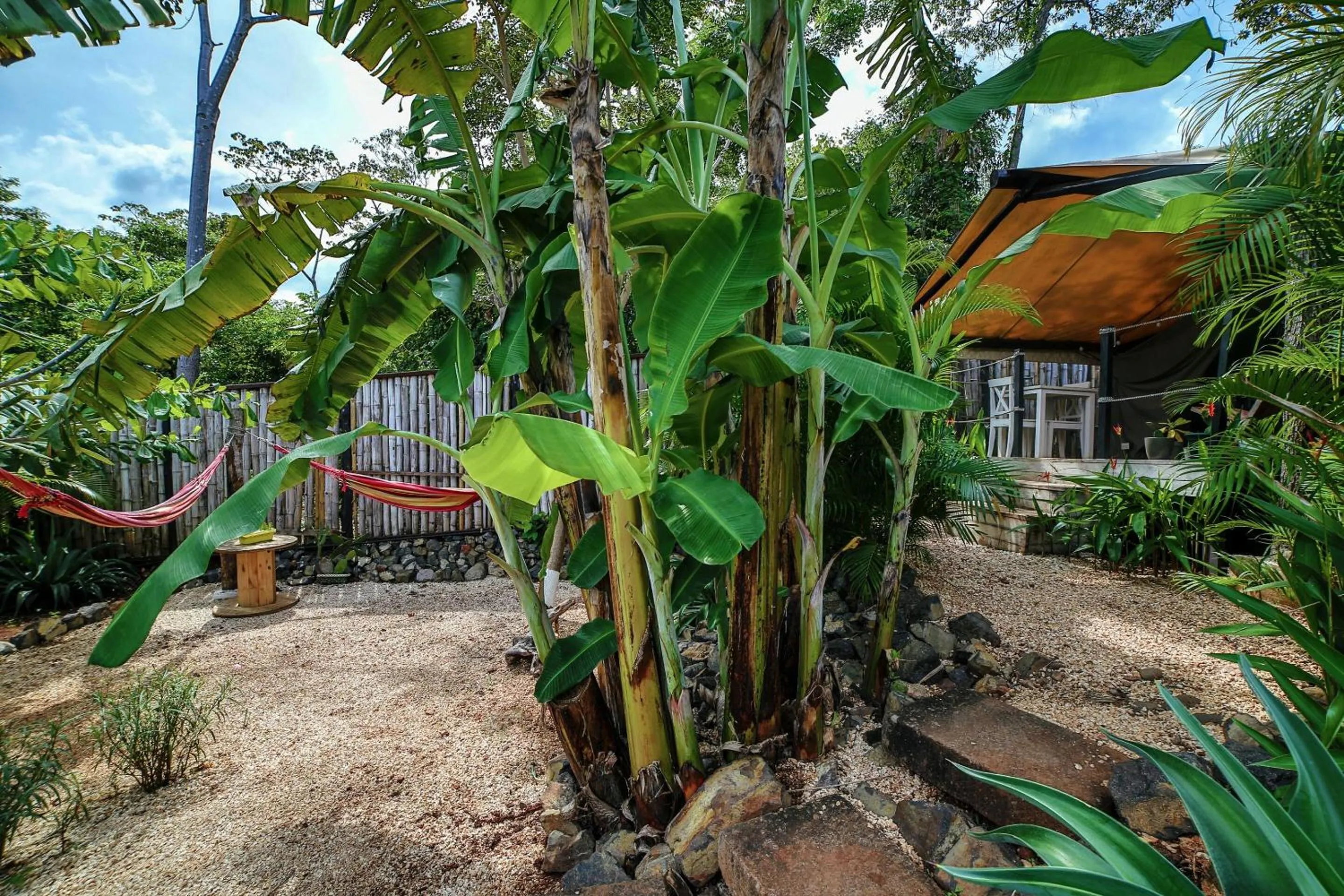 Property building in Flor y Bambu