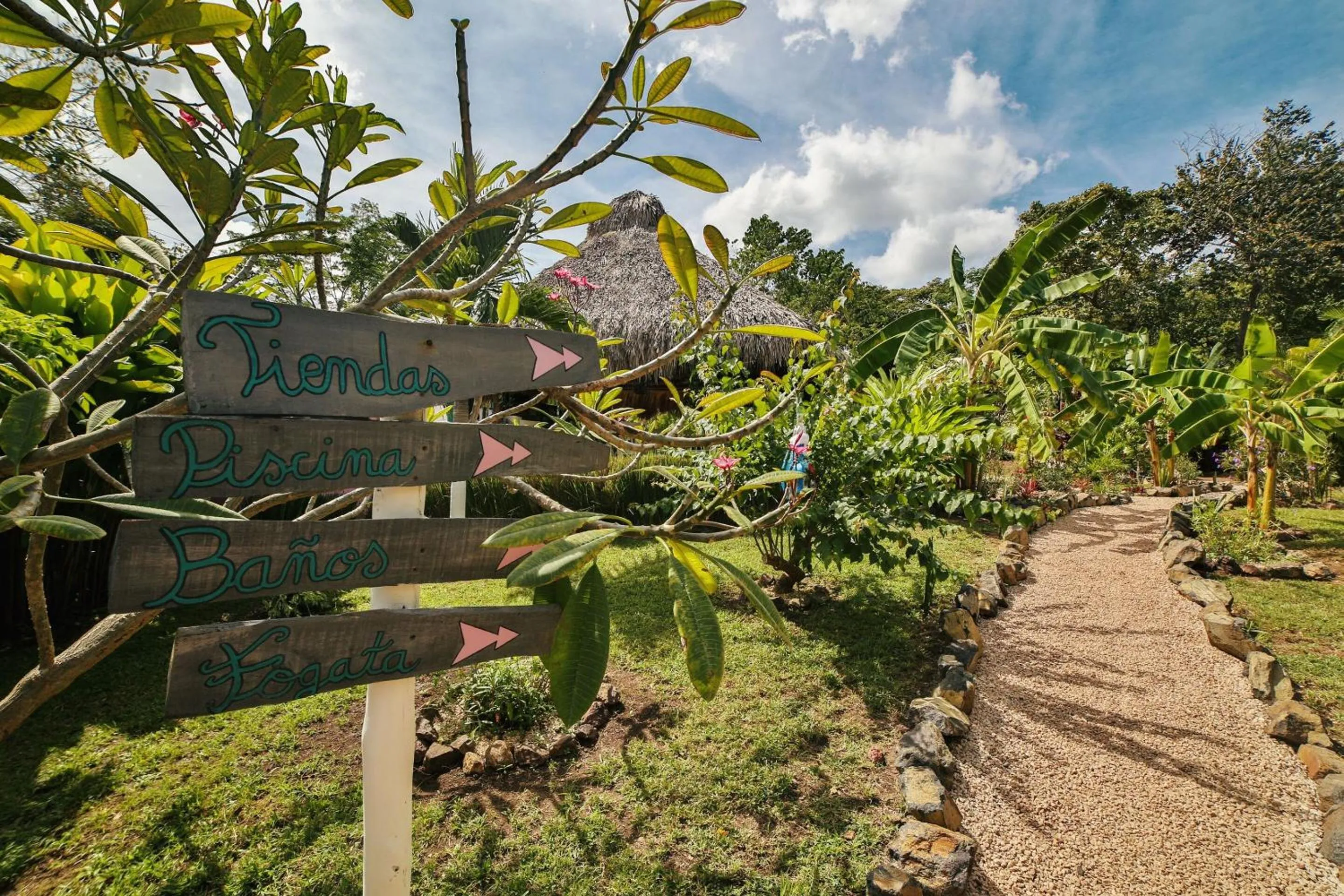 View (from property/room) in Flor y Bambu