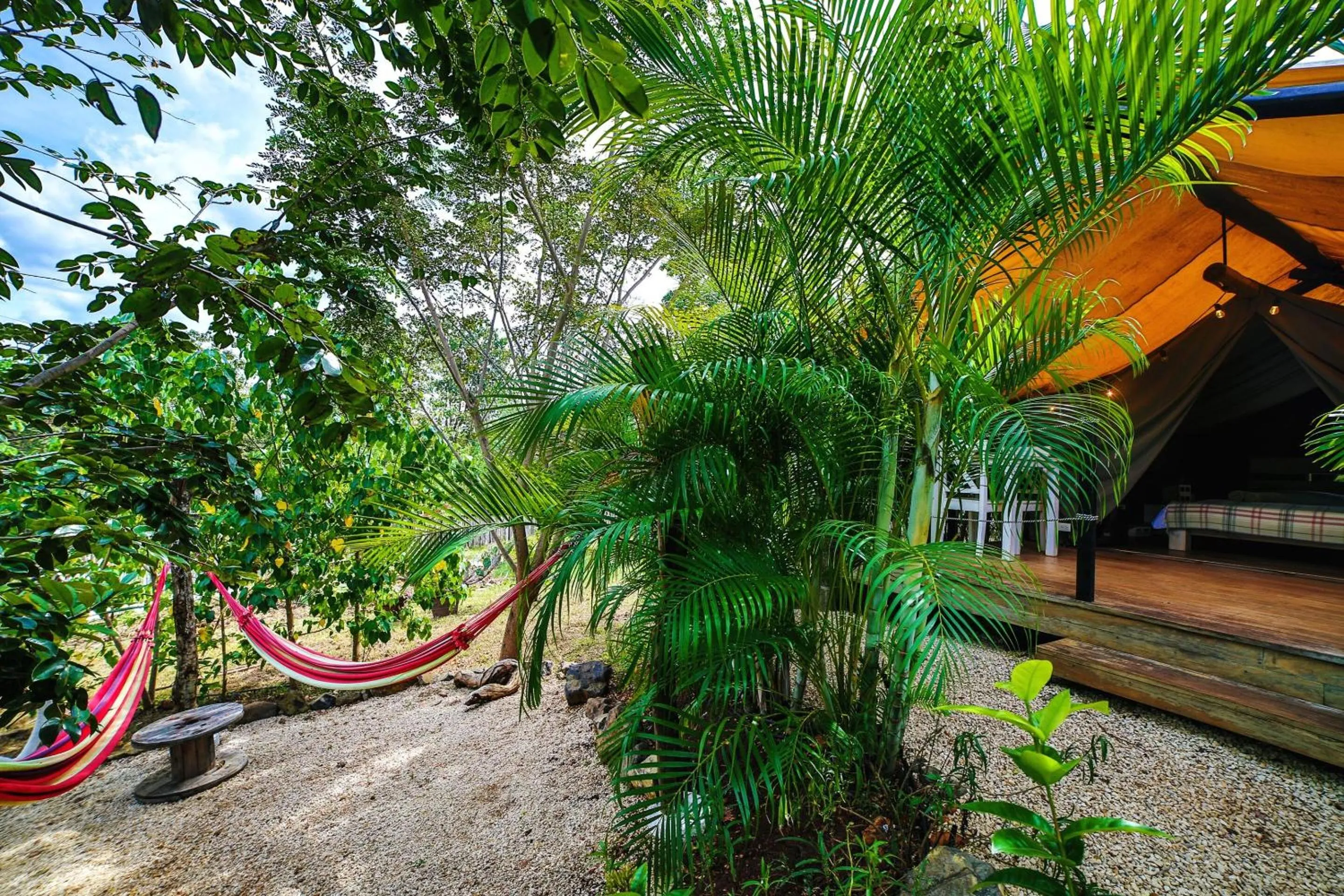 Property building in Flor y Bambu