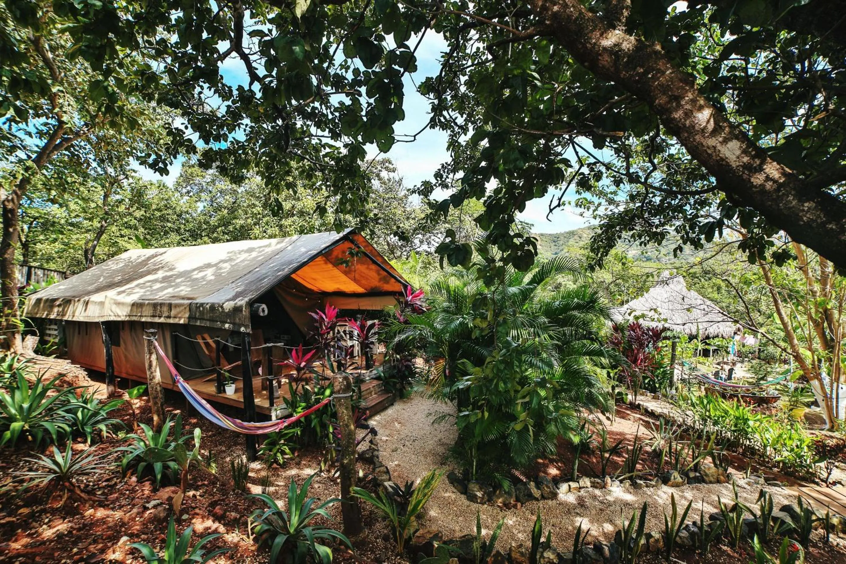 View (from property/room) in Flor y Bambu