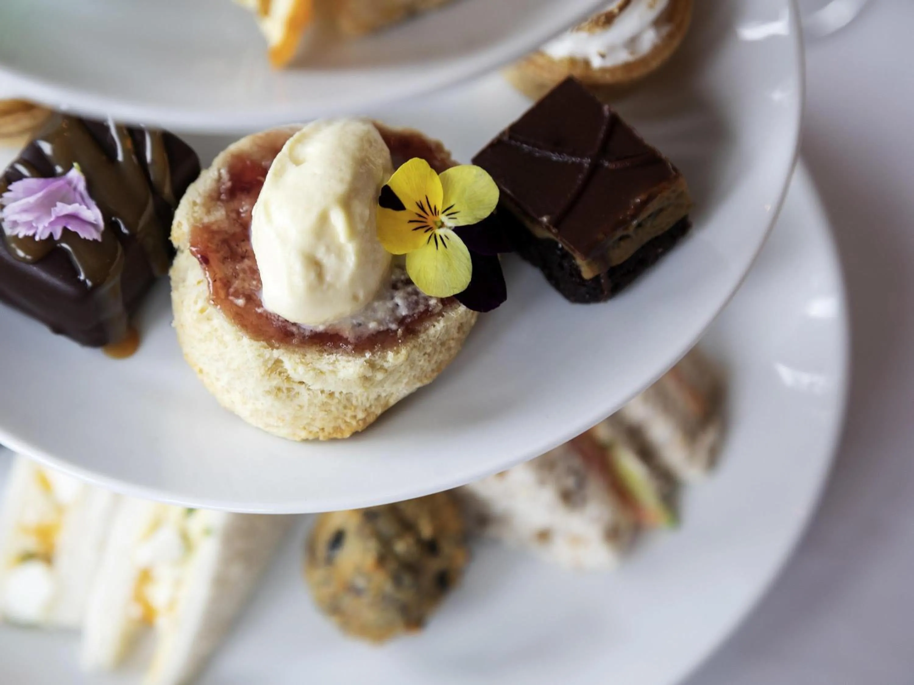 Restaurant/places to eat in Novotel New Plymouth Taranaki