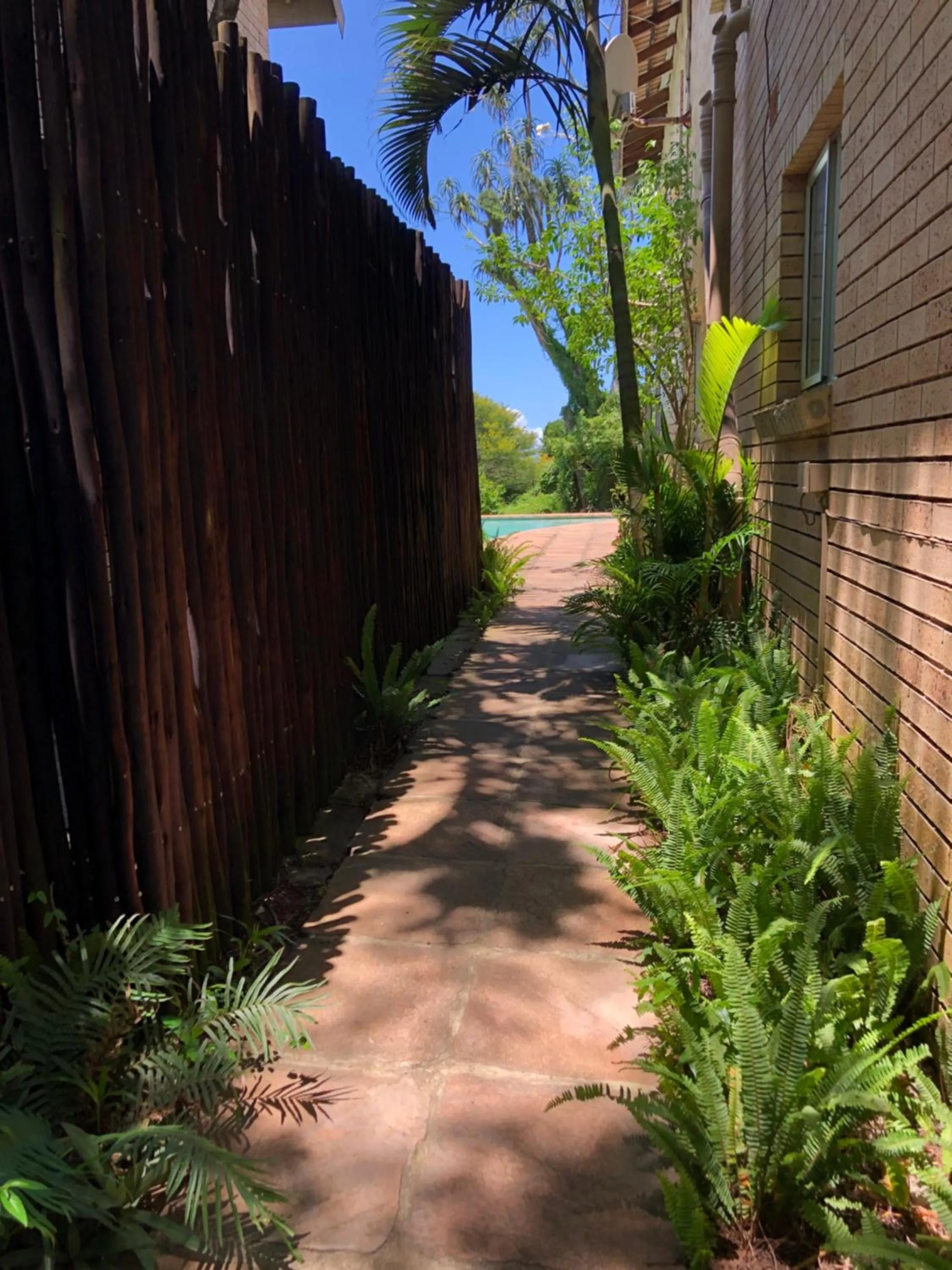 Garden in Ingwenya Lodge