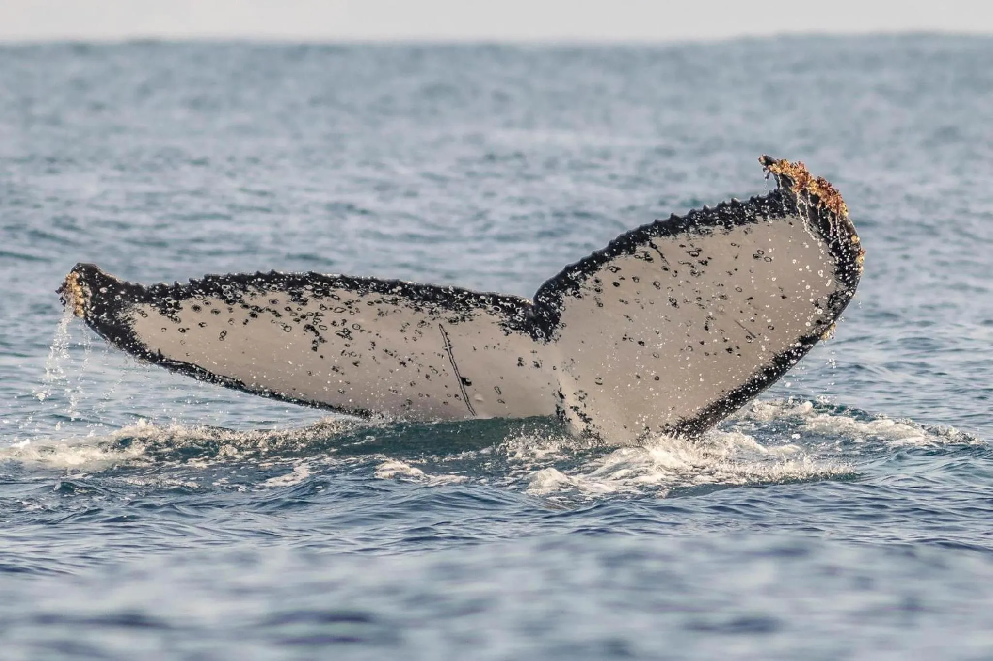 Activities in Ingwenya Lodge