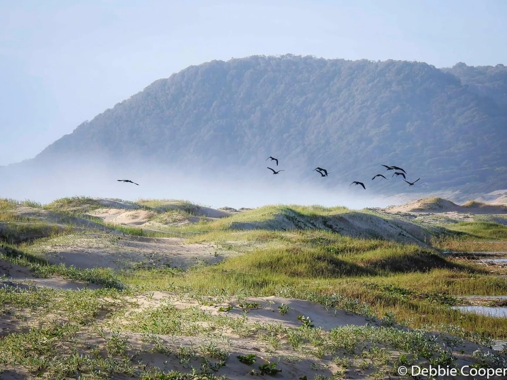 Beach in Ingwenya Lodge