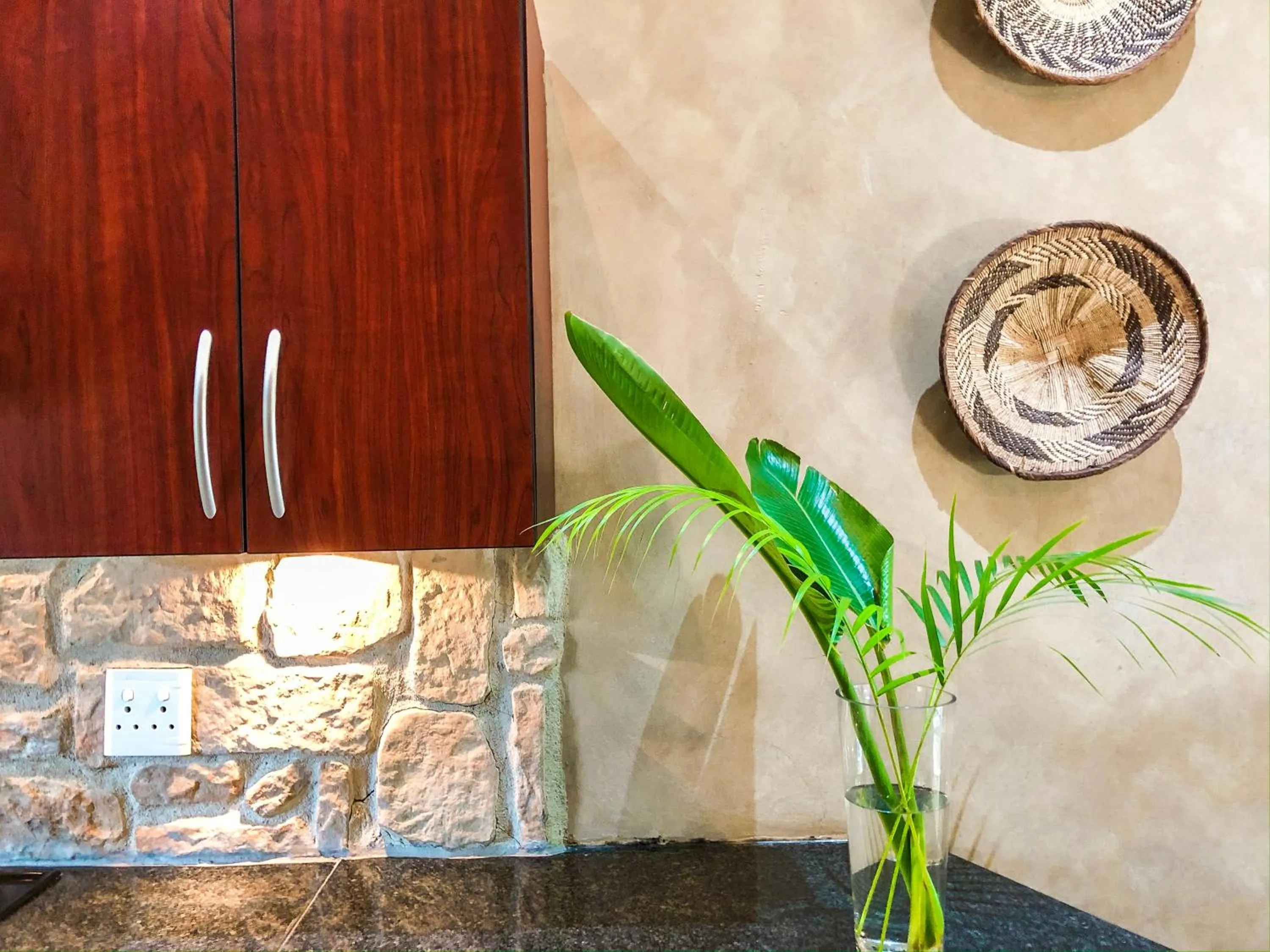 Kitchen or kitchenette in Ingwenya Lodge