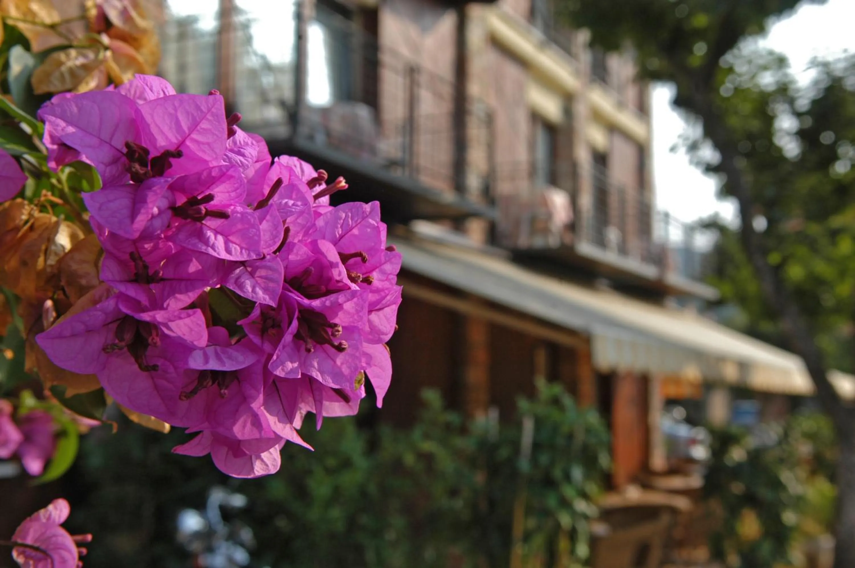 Decorative detail in Garni Onda