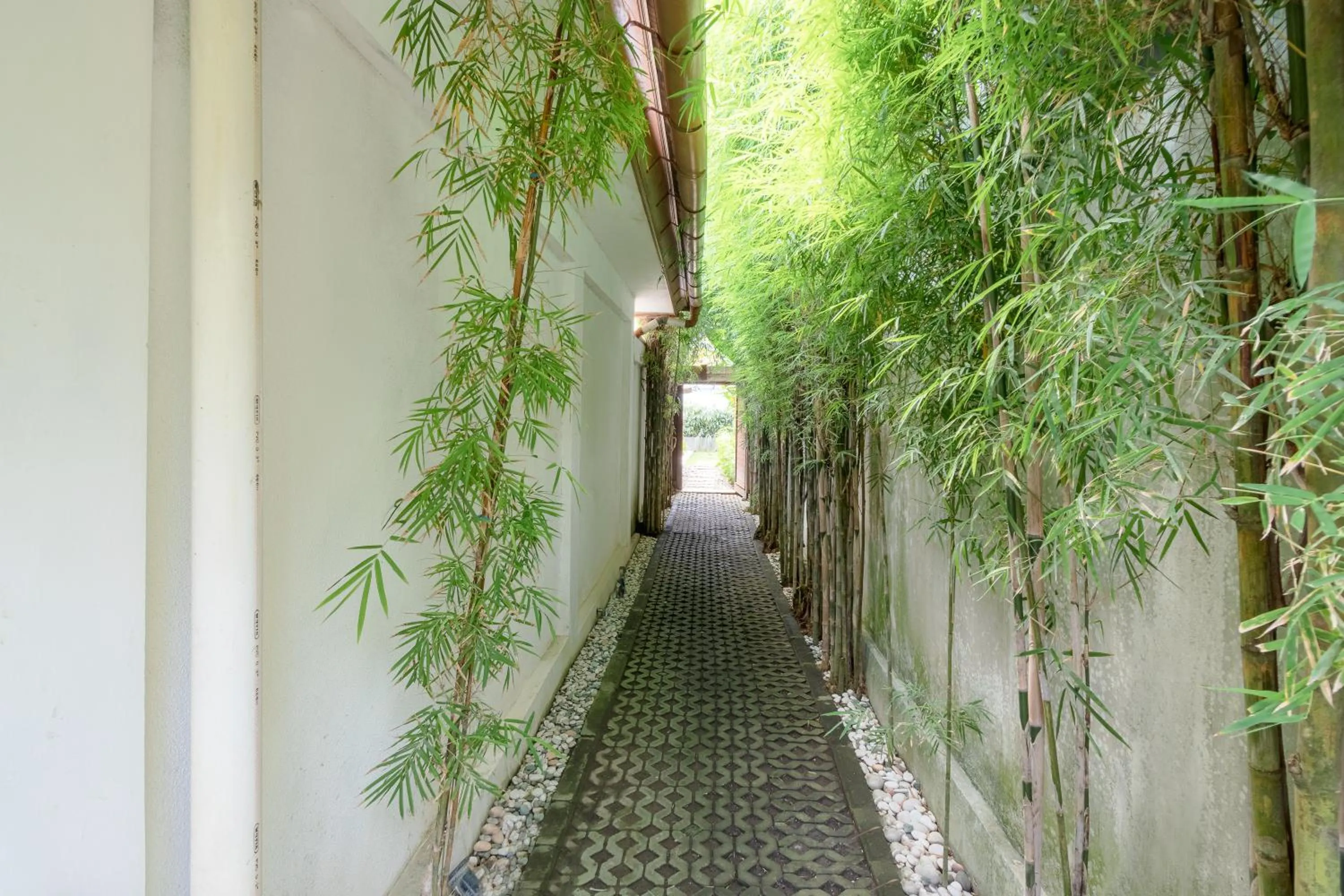 Day in Two Lizards Beach Villas