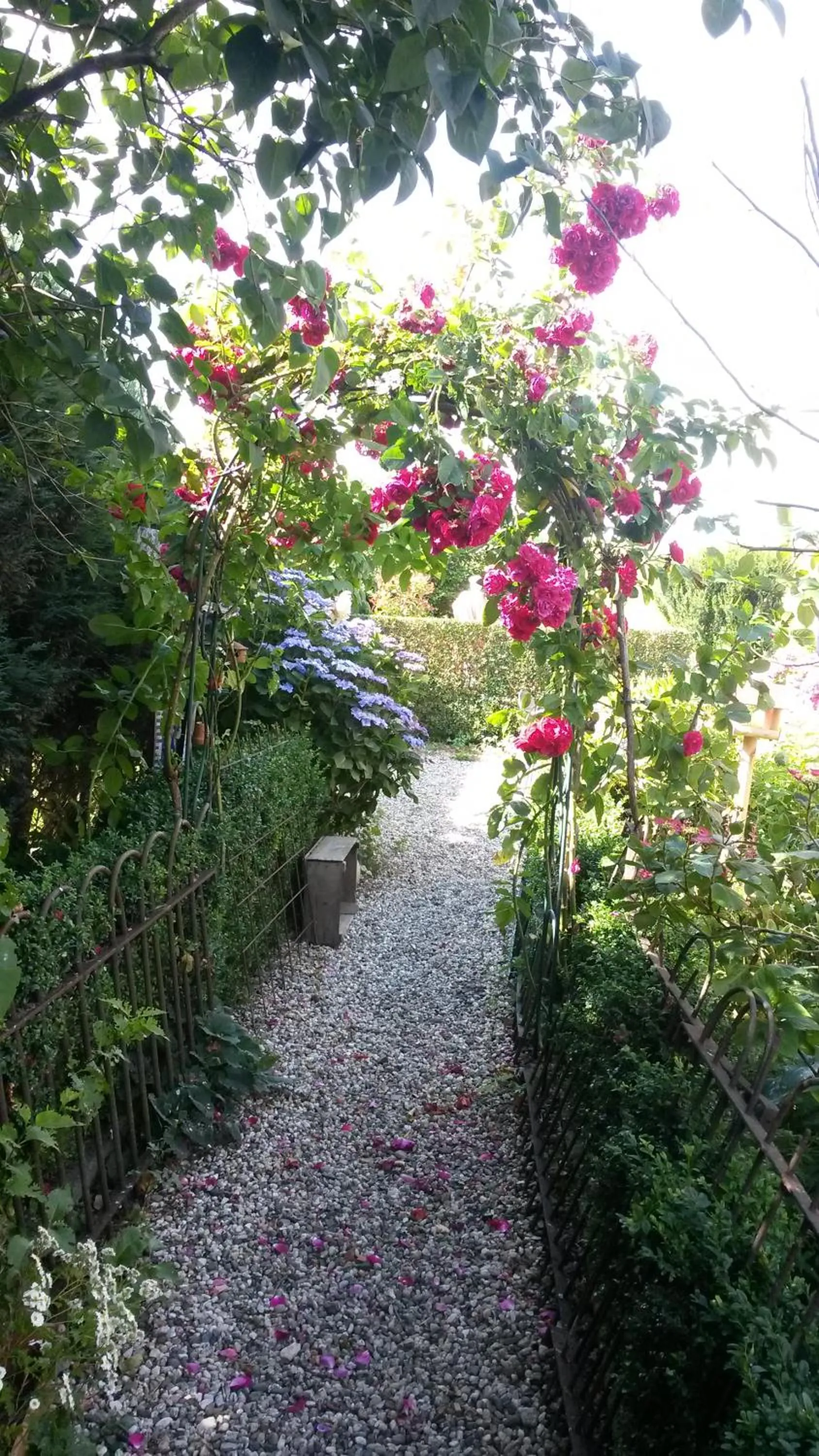 B&B aan de Limes in Maurik