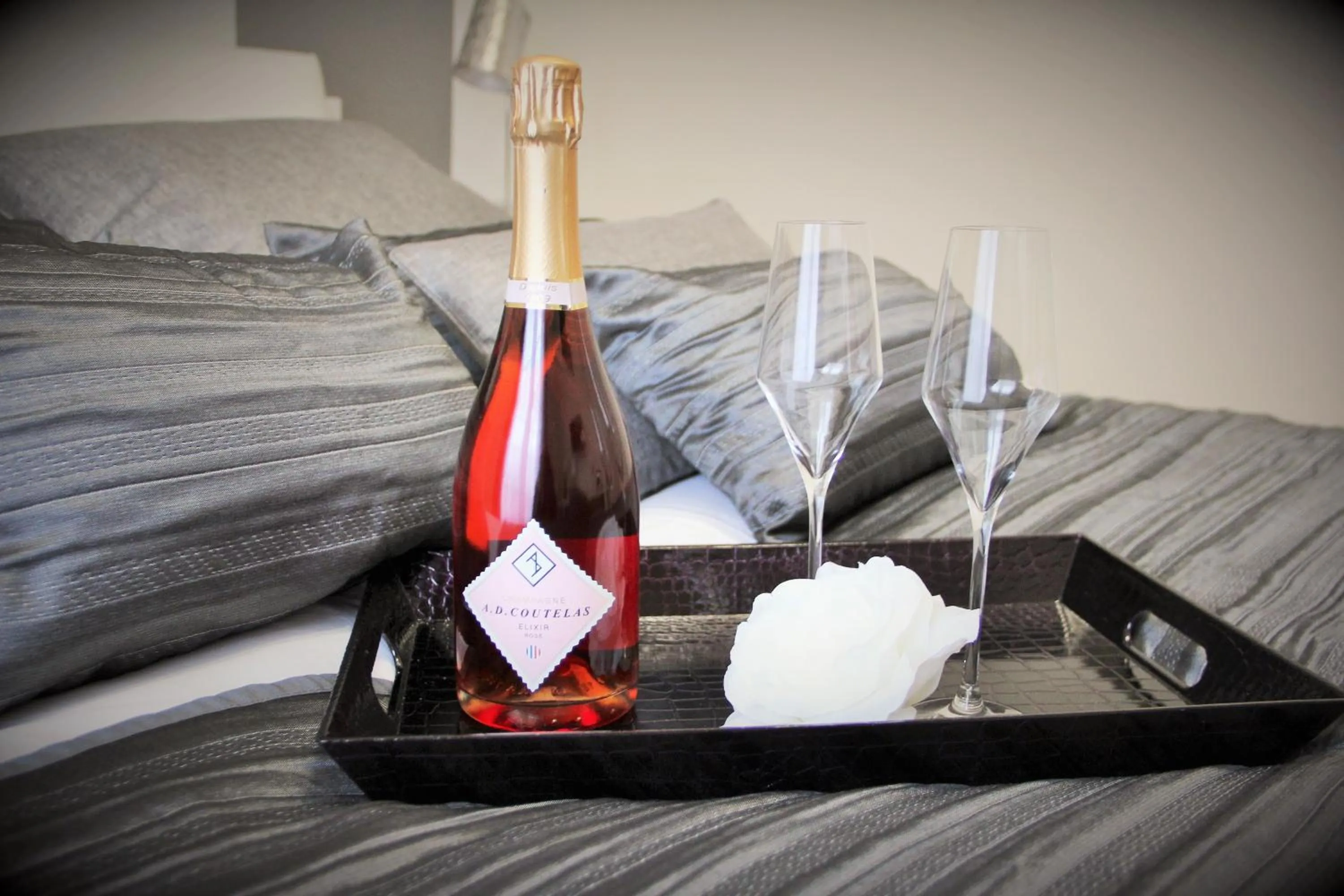 Activities in Villa Louis Victor