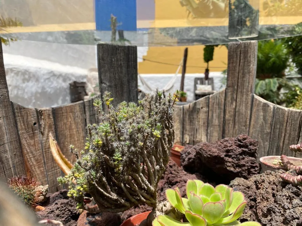 Balcony/Terrace in Casa emblemática Buenavista del Norte