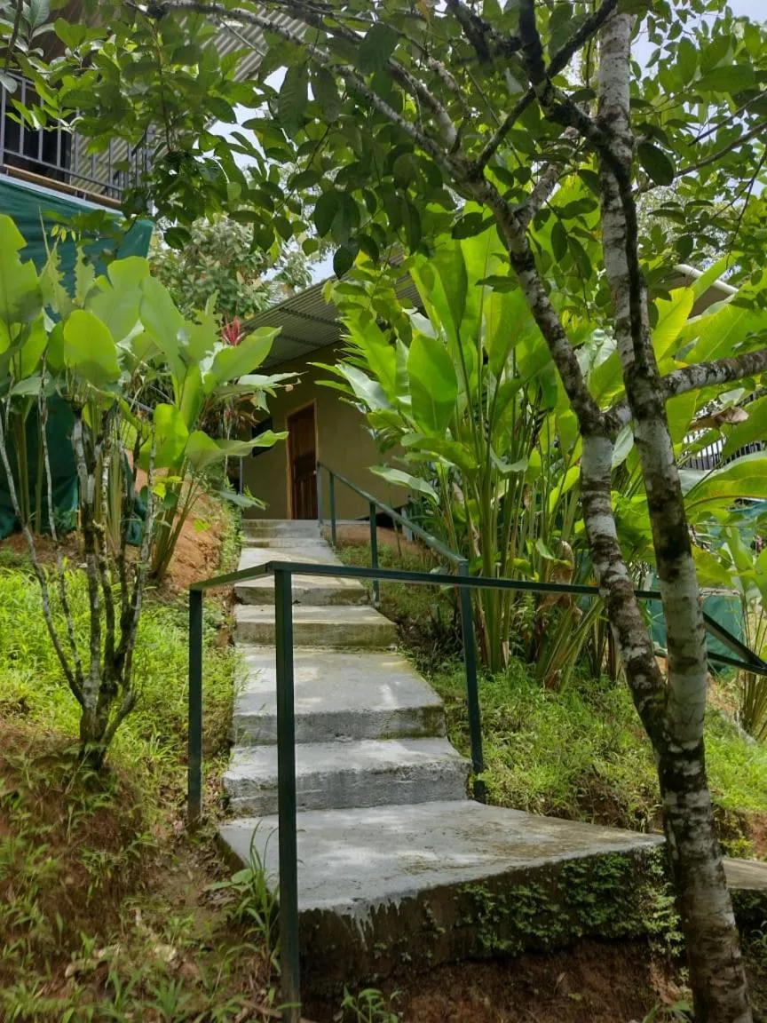 Hotel Cabinas Murillo