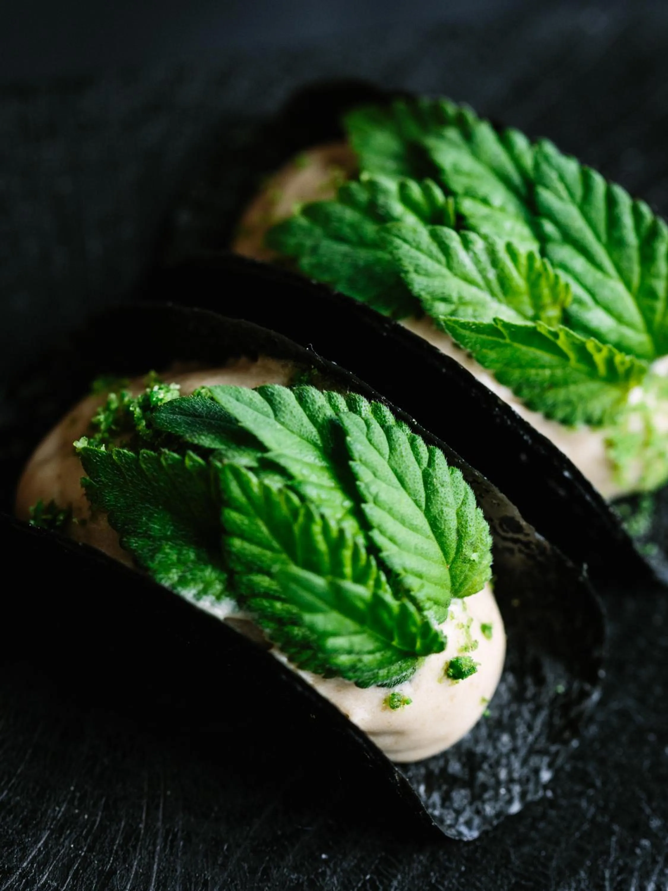 Food in Terra - The Magic Place Relais & Châteaux