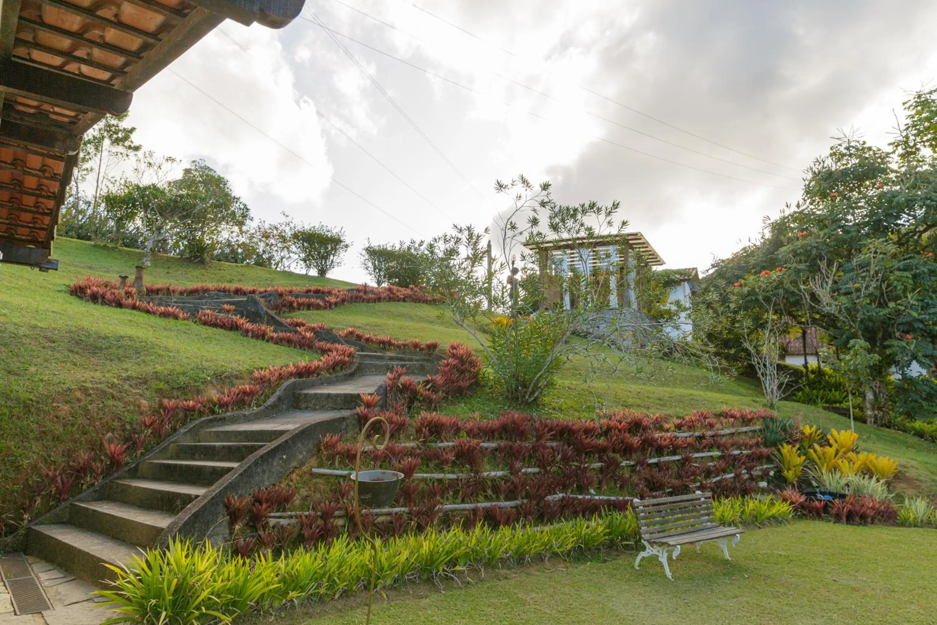 Natural landscape in Pousada das Bromélias