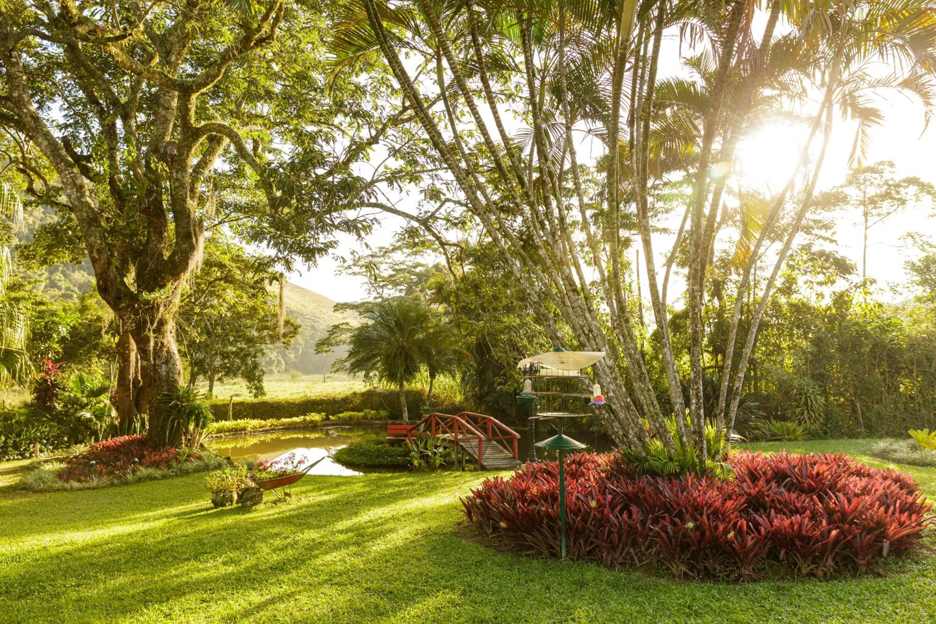 Natural landscape in Pousada das Bromélias