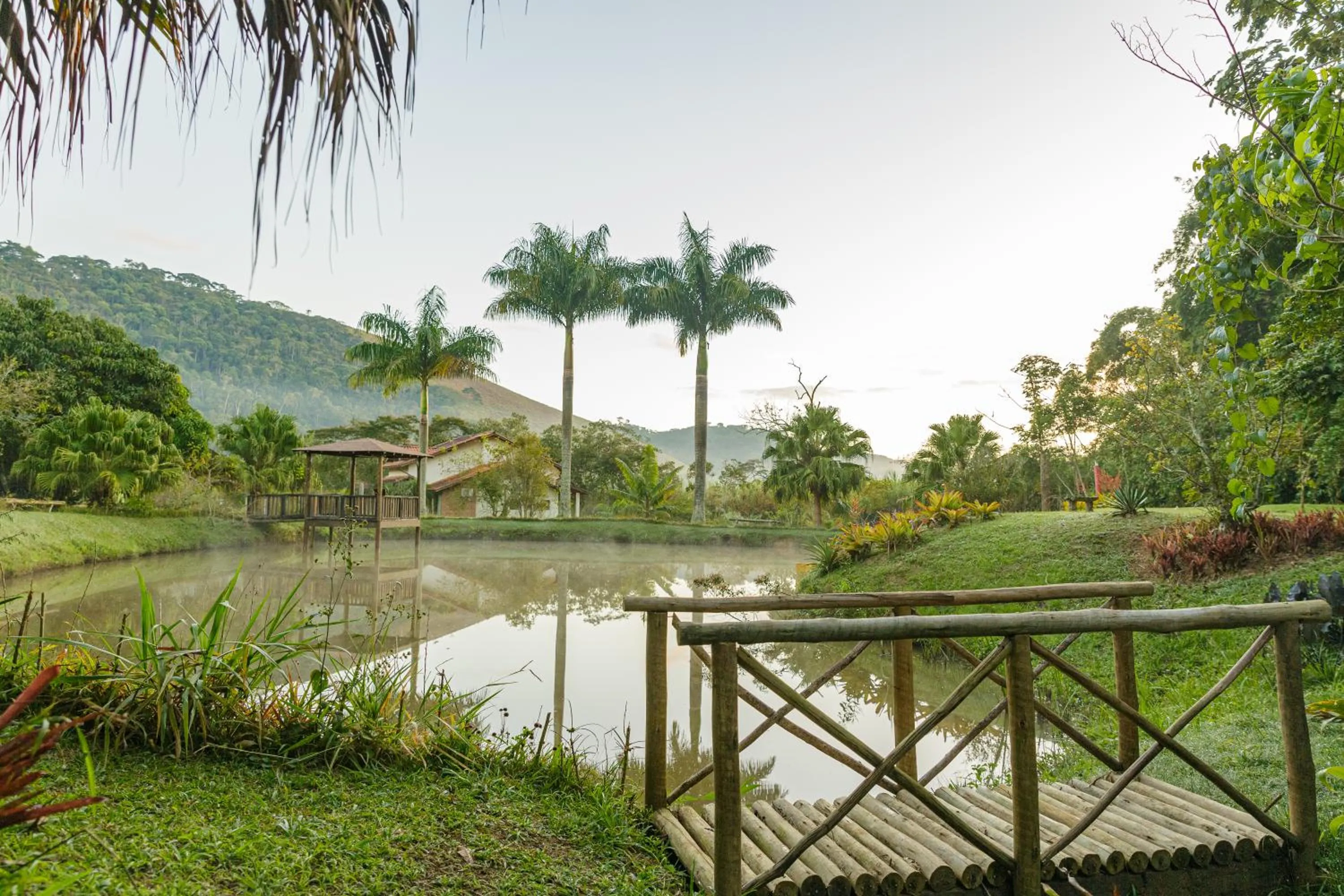 Natural landscape in Pousada das Bromélias