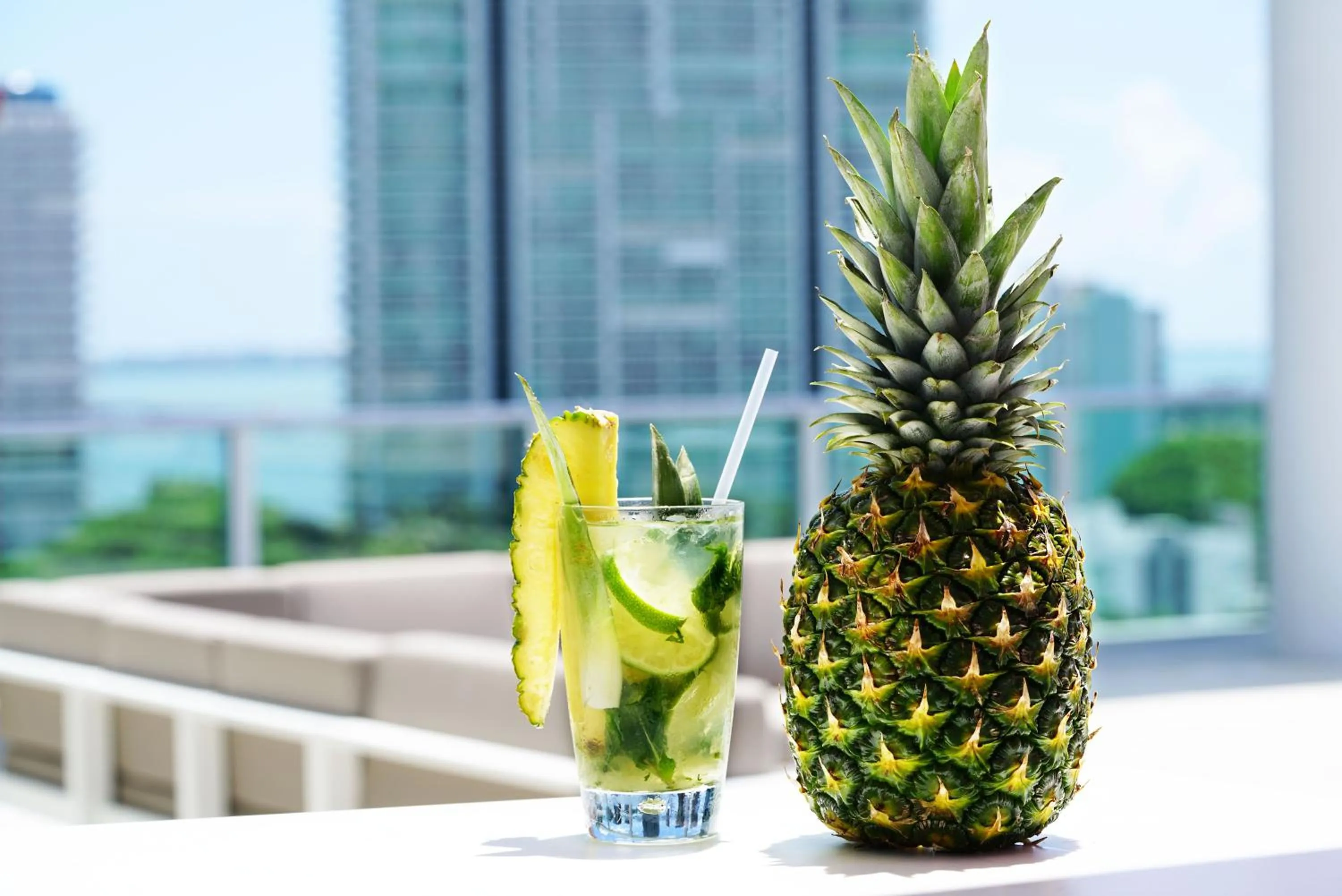 Day in Novotel Miami Brickell