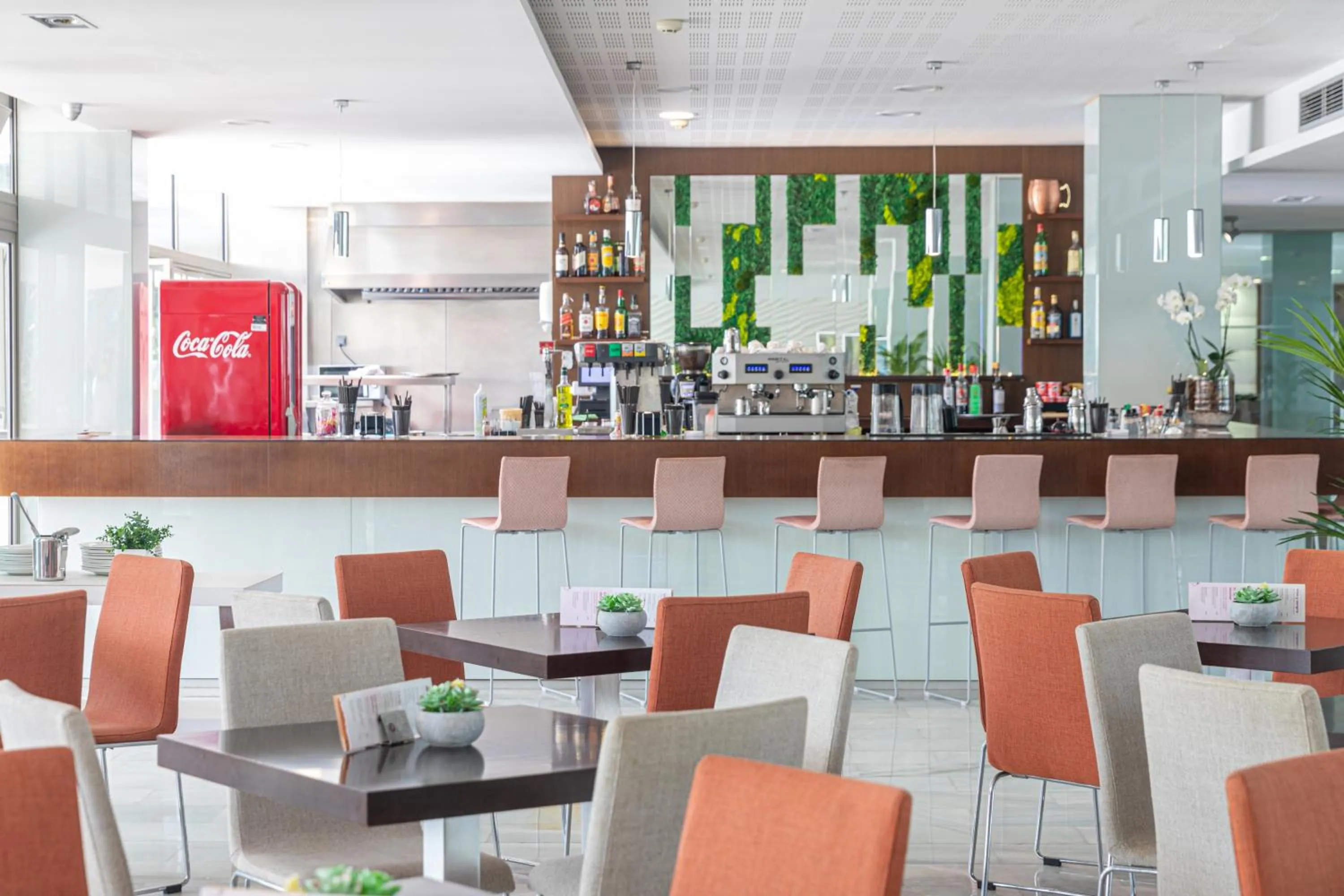 Lounge or bar in JS Sol de Alcudia