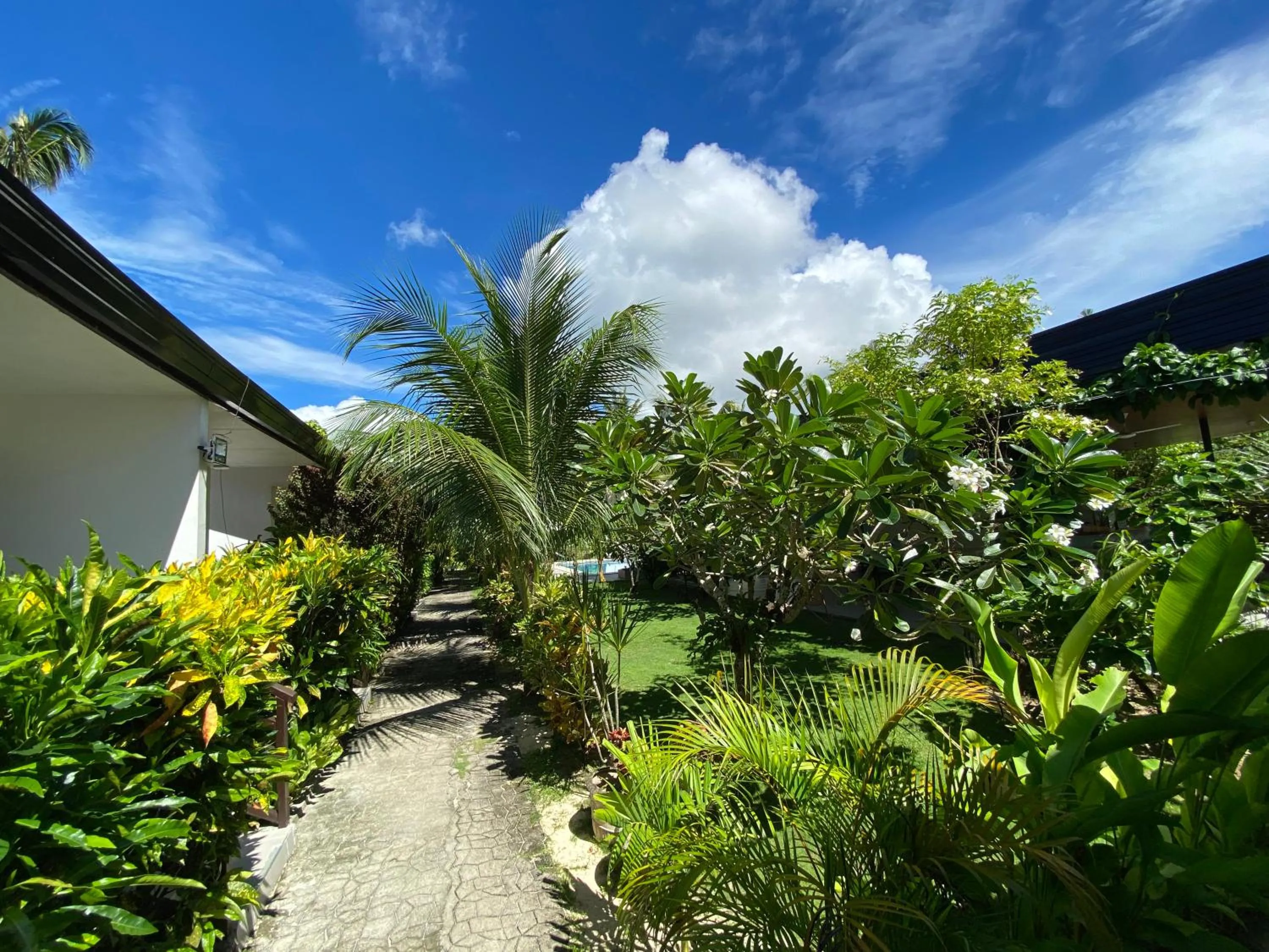Garden in Vivo Siargao