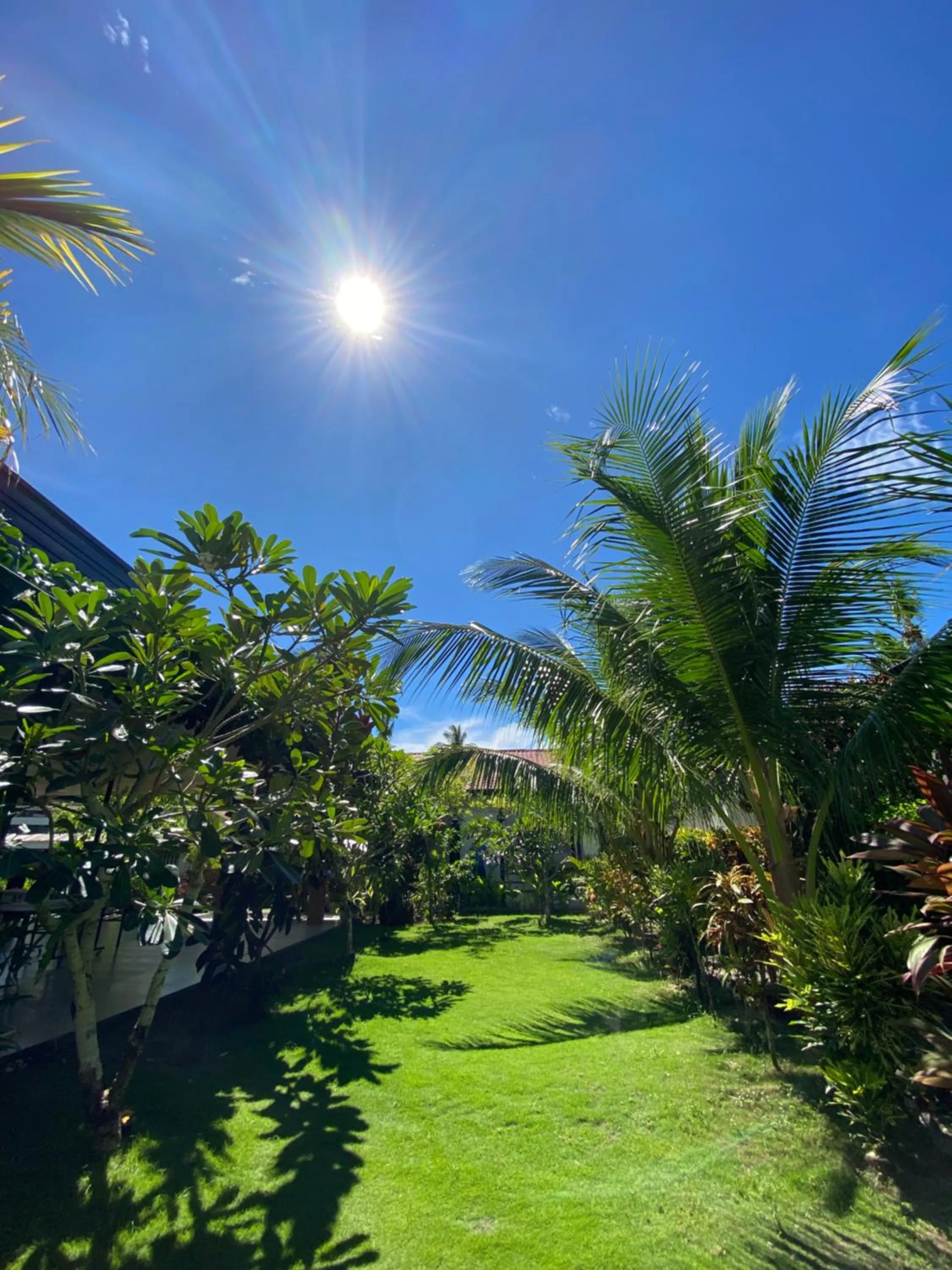Garden in Vivo Siargao