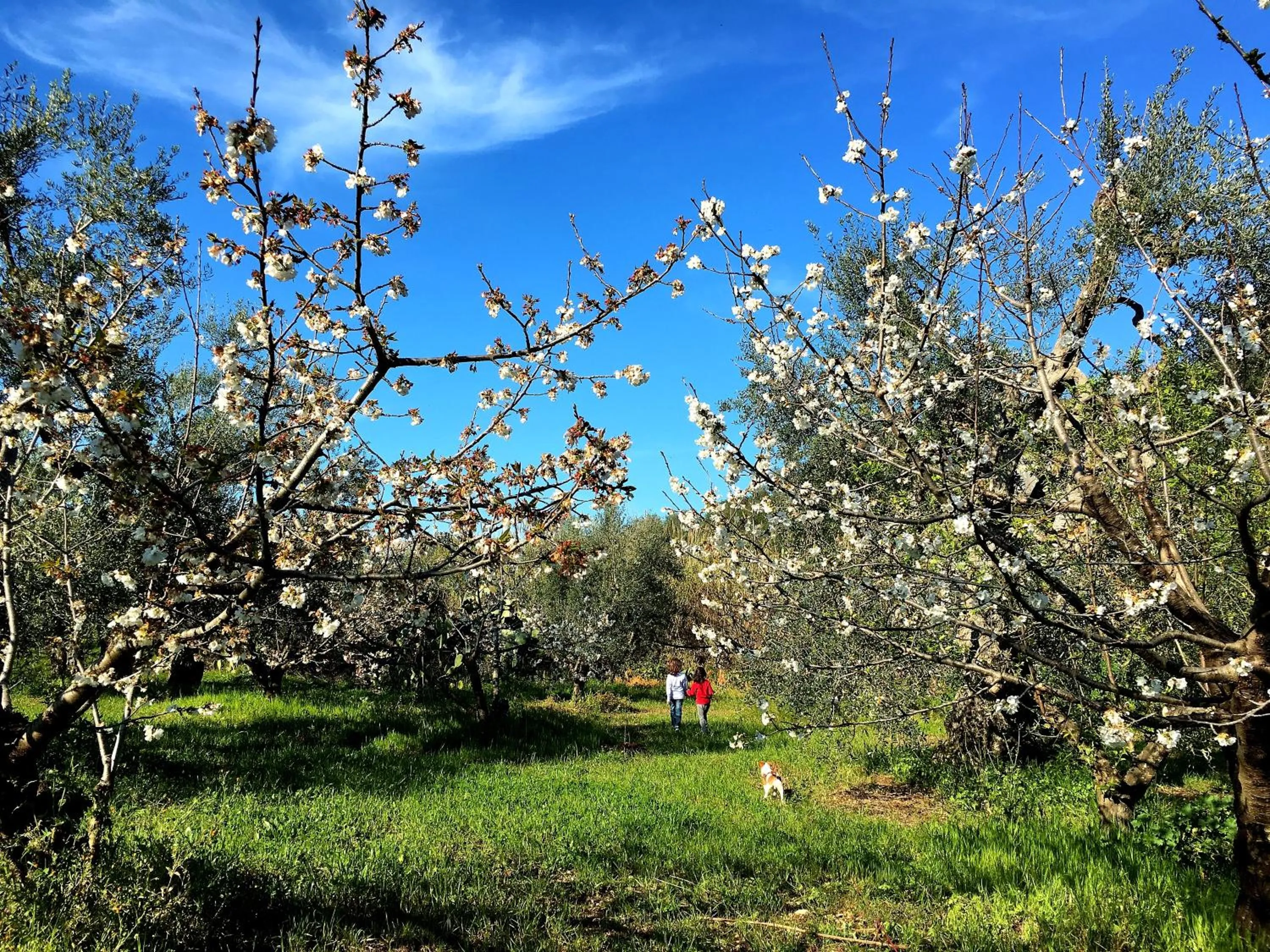 Natural landscape in Posta Santa Croce