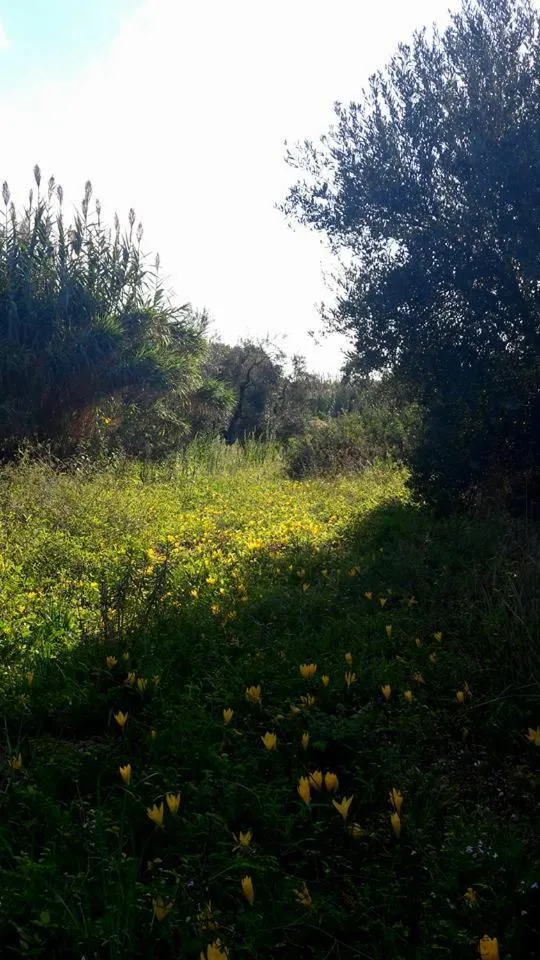 Natural landscape in Posta Santa Croce