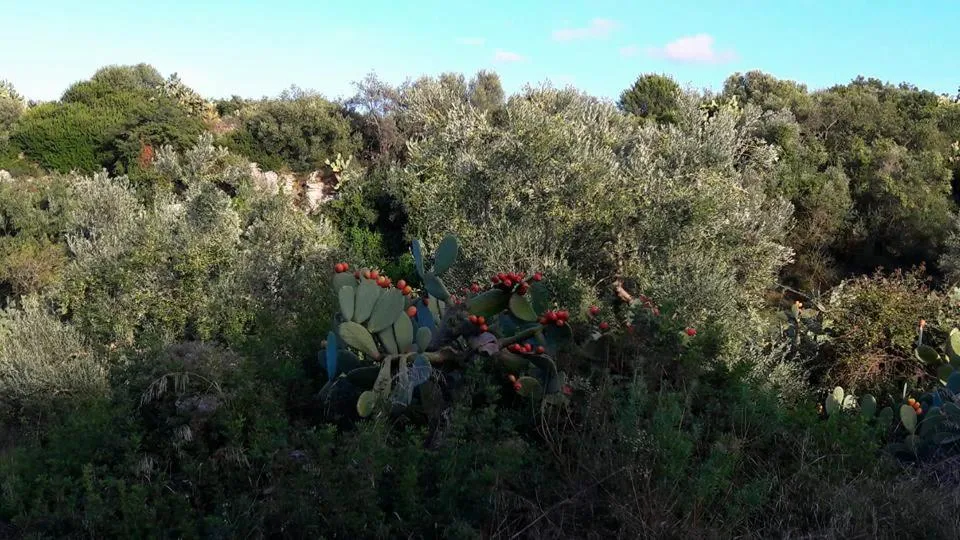 Natural landscape in Posta Santa Croce
