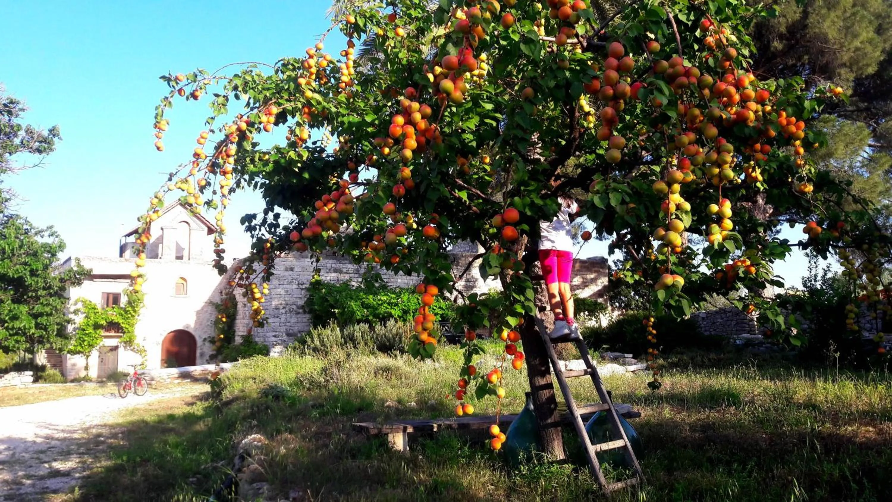 Property building in Posta Santa Croce