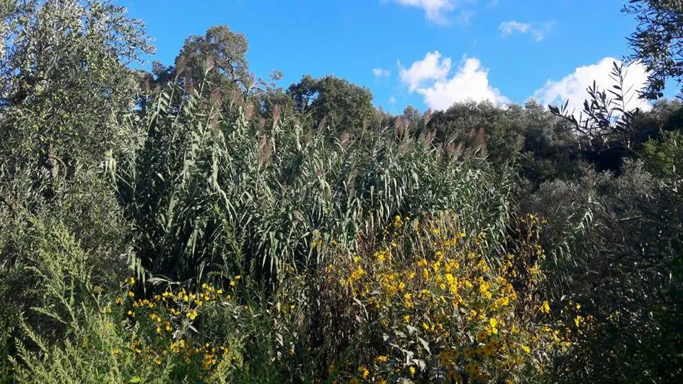 Natural landscape in Posta Santa Croce
